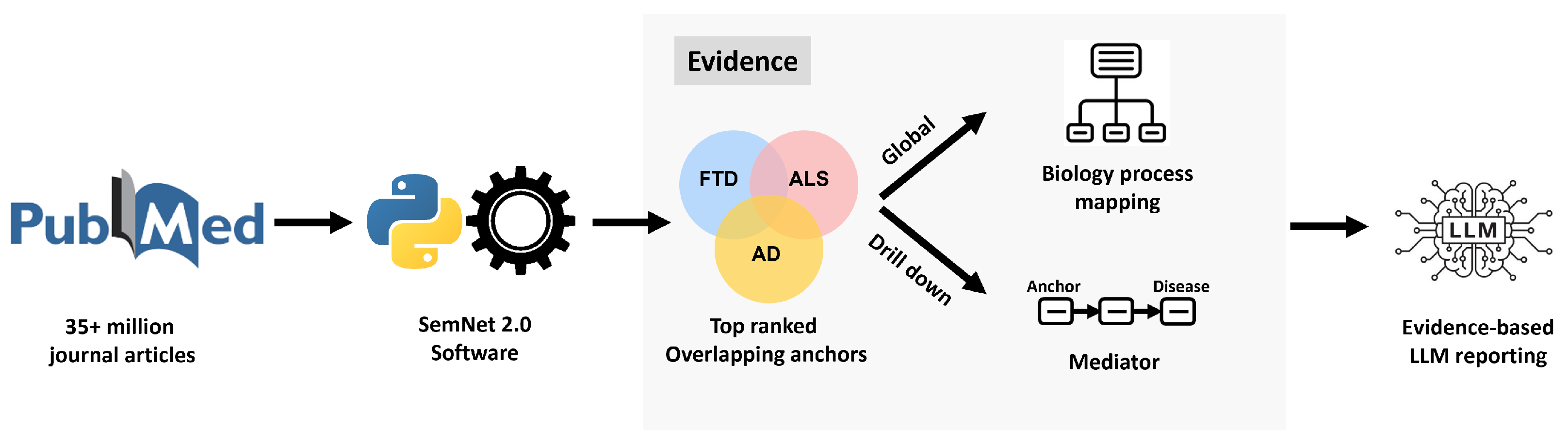SemNet Explorer: An Evidence-Grounded Knowledge Graph–LLM Framework for ...