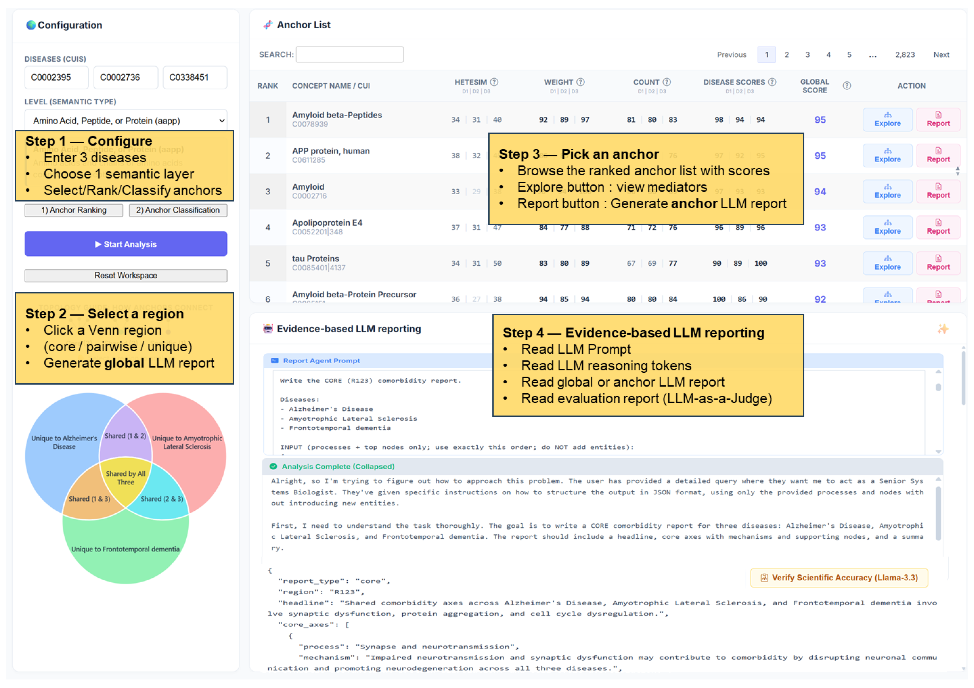 SemNet Explorer: An Evidence-Grounded Knowledge Graph–LLM Framework for ...