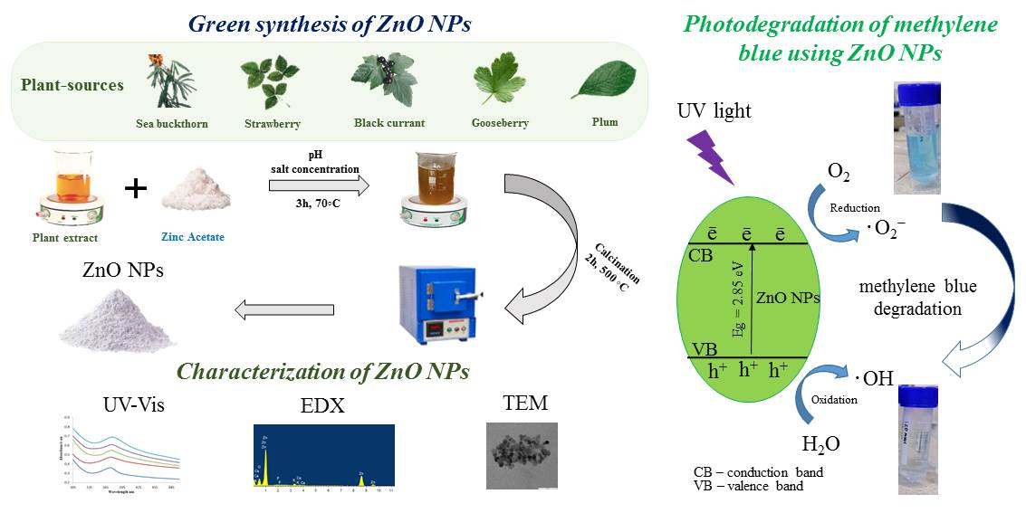 Green Synthesis of ZnO Nanoparticles: Effect of Synthesis Conditions on ...