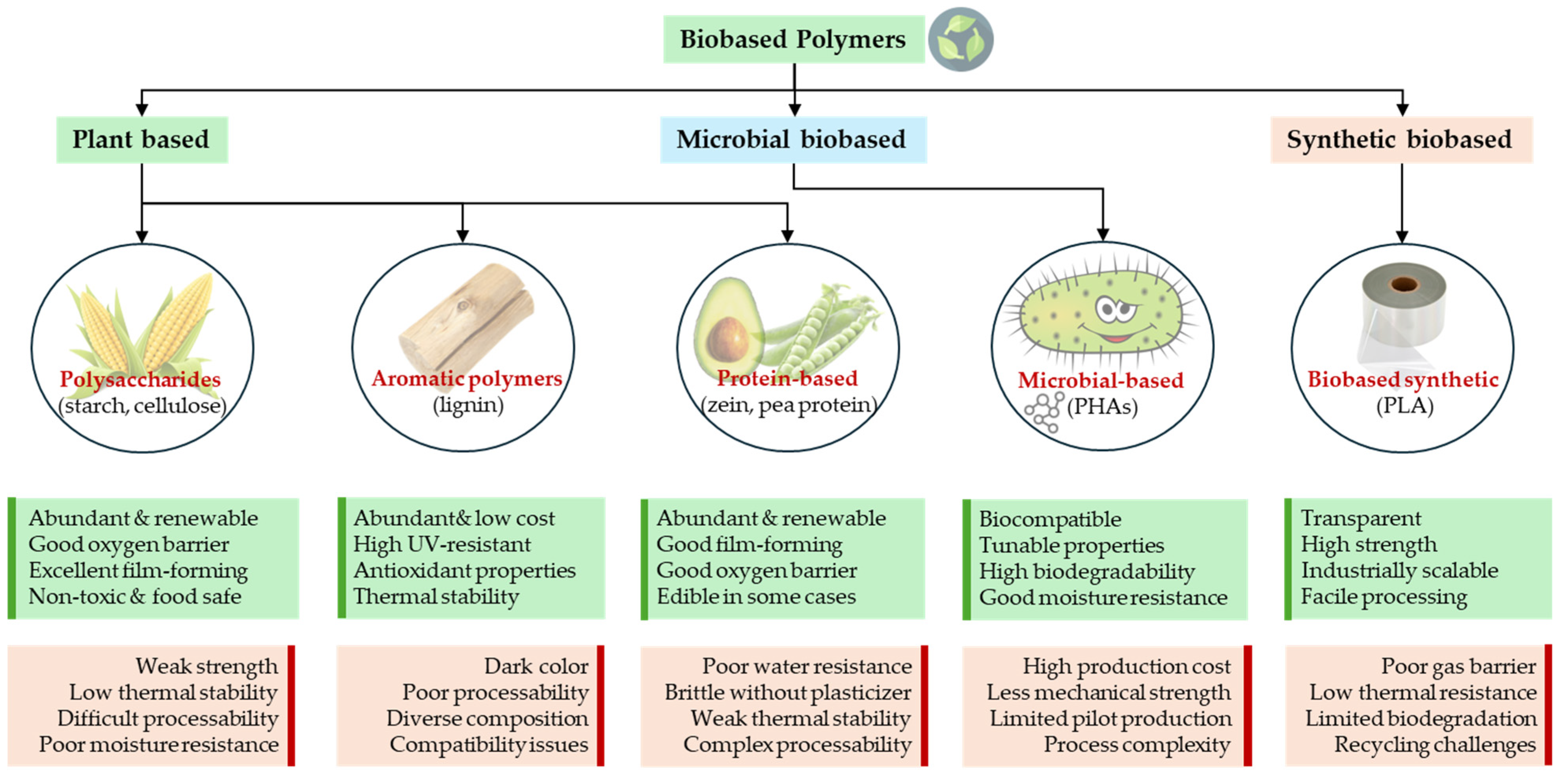 Biobased Active Materials Using Plant Secondary Metabolites: Current ...