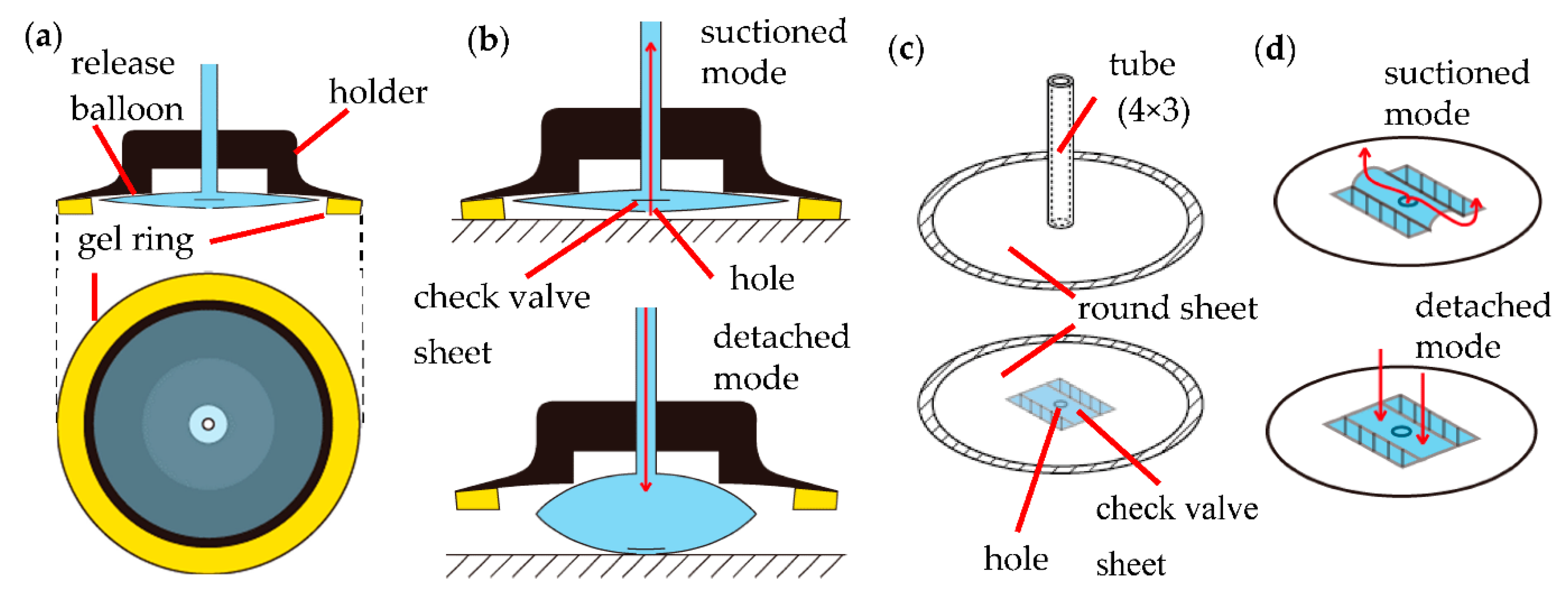 materials - How do suction cups work? - Engineering Stack Exchange