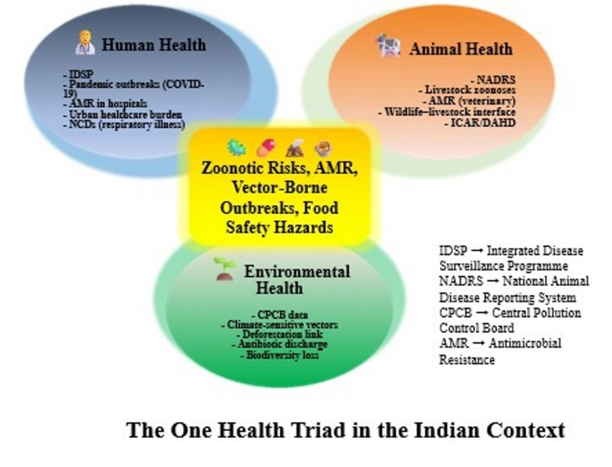 One Network–One Nation–One Health India’s Strategic Blueprint for ...