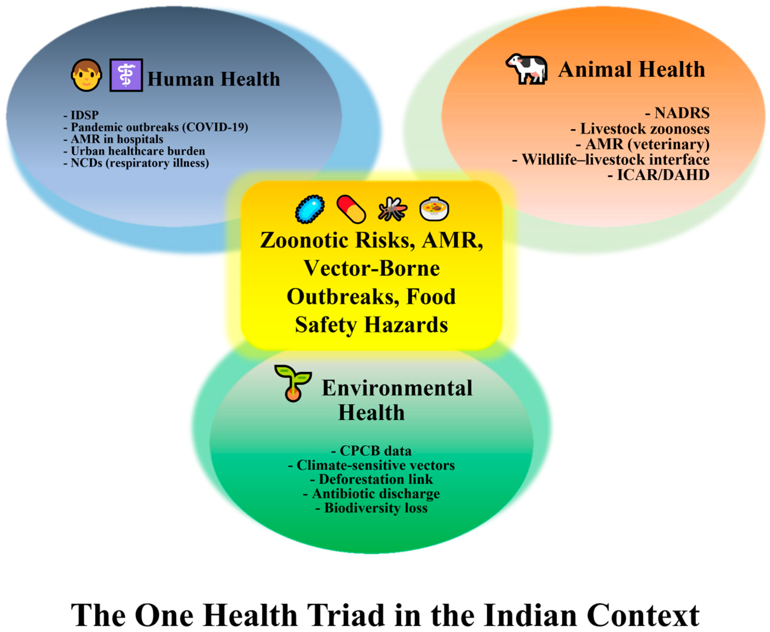 One Network–One Nation–One Health India’s Strategic Blueprint for ...