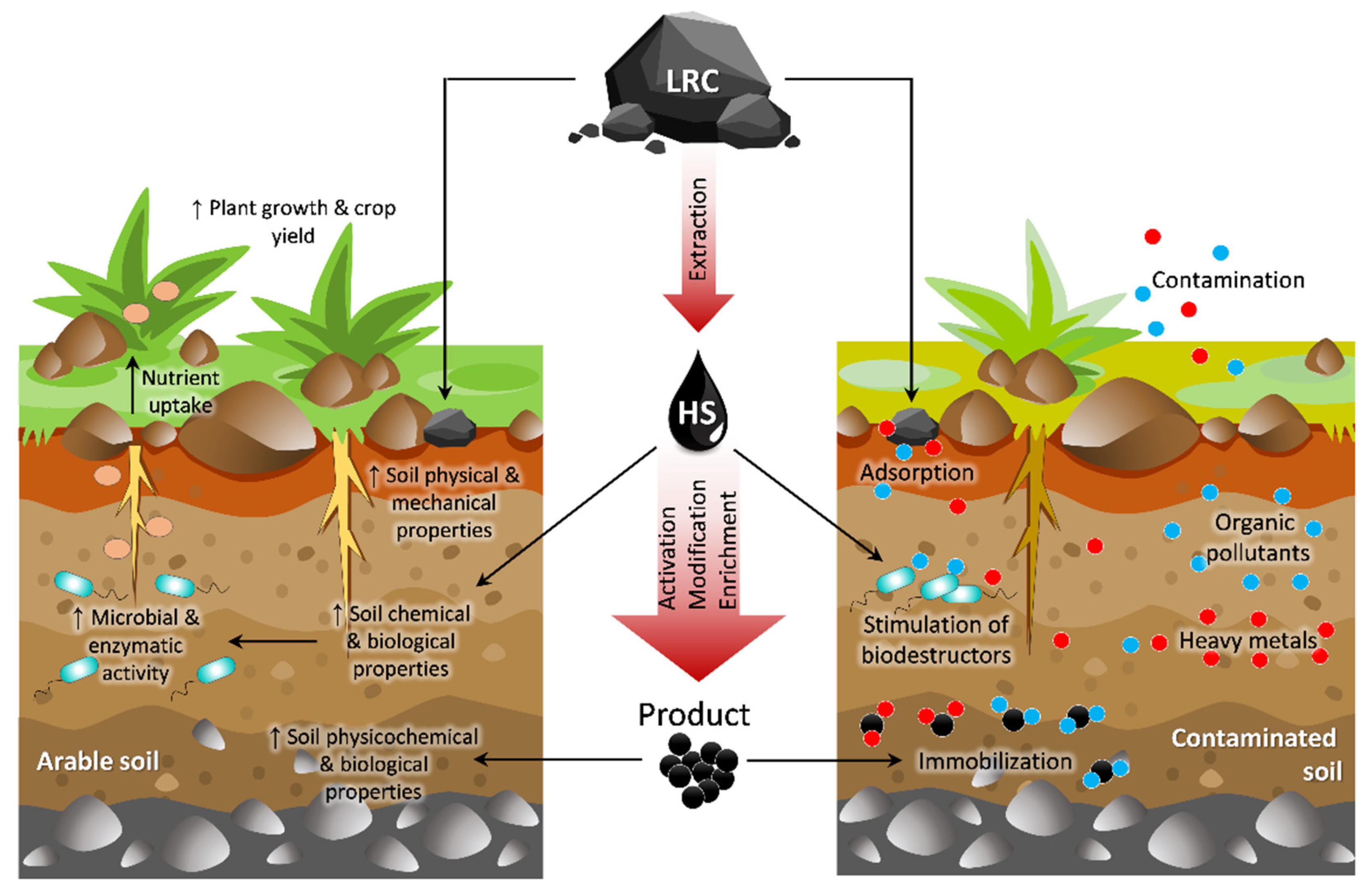 Agriculture | Free Full-Text | Low-Rank Coal as a Source of Humic  Substances for Soil Amendment and Fertility Management