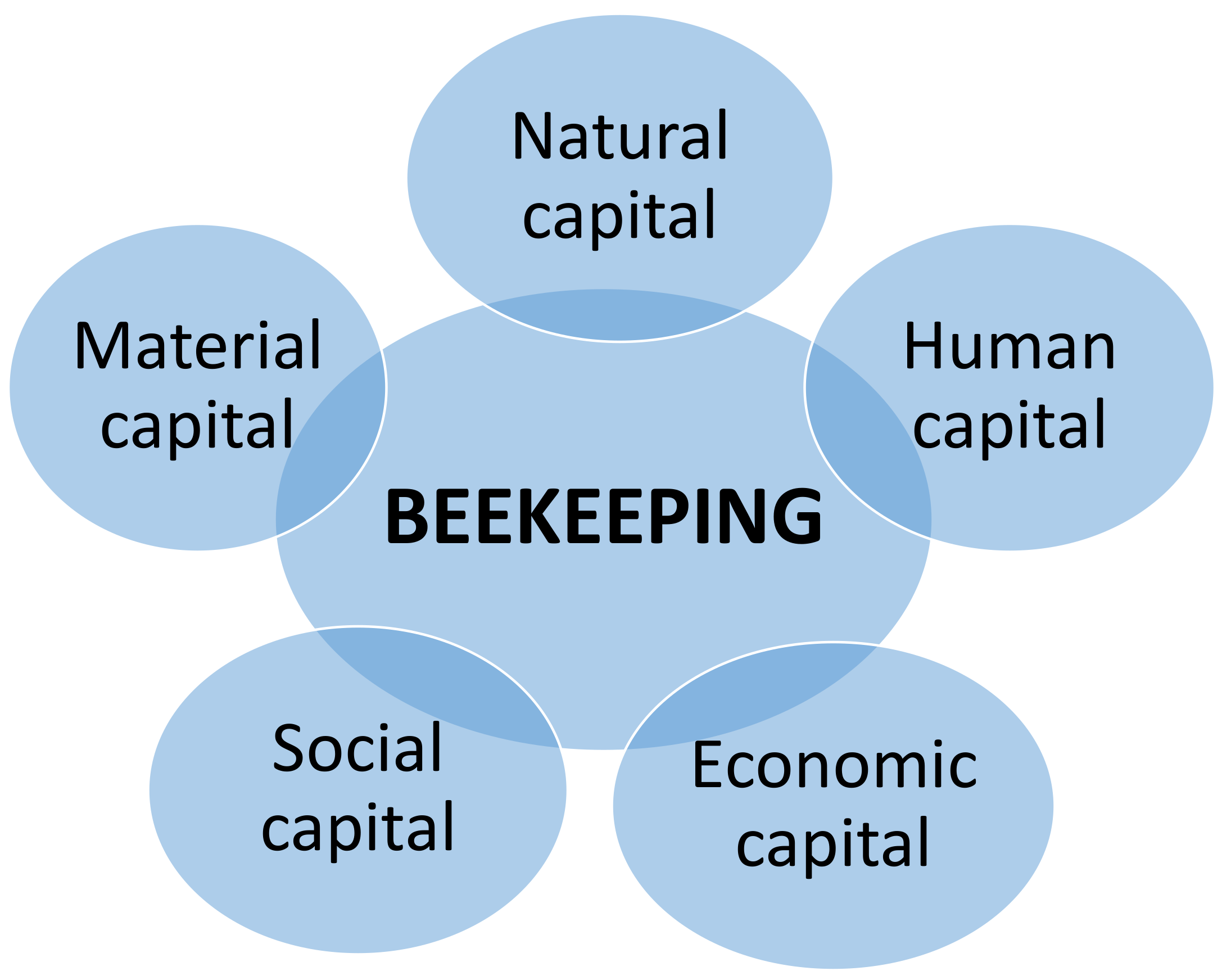 Full article: Factors influencing beekeepers income, productivity and  welfare in developing countries: a scoping review