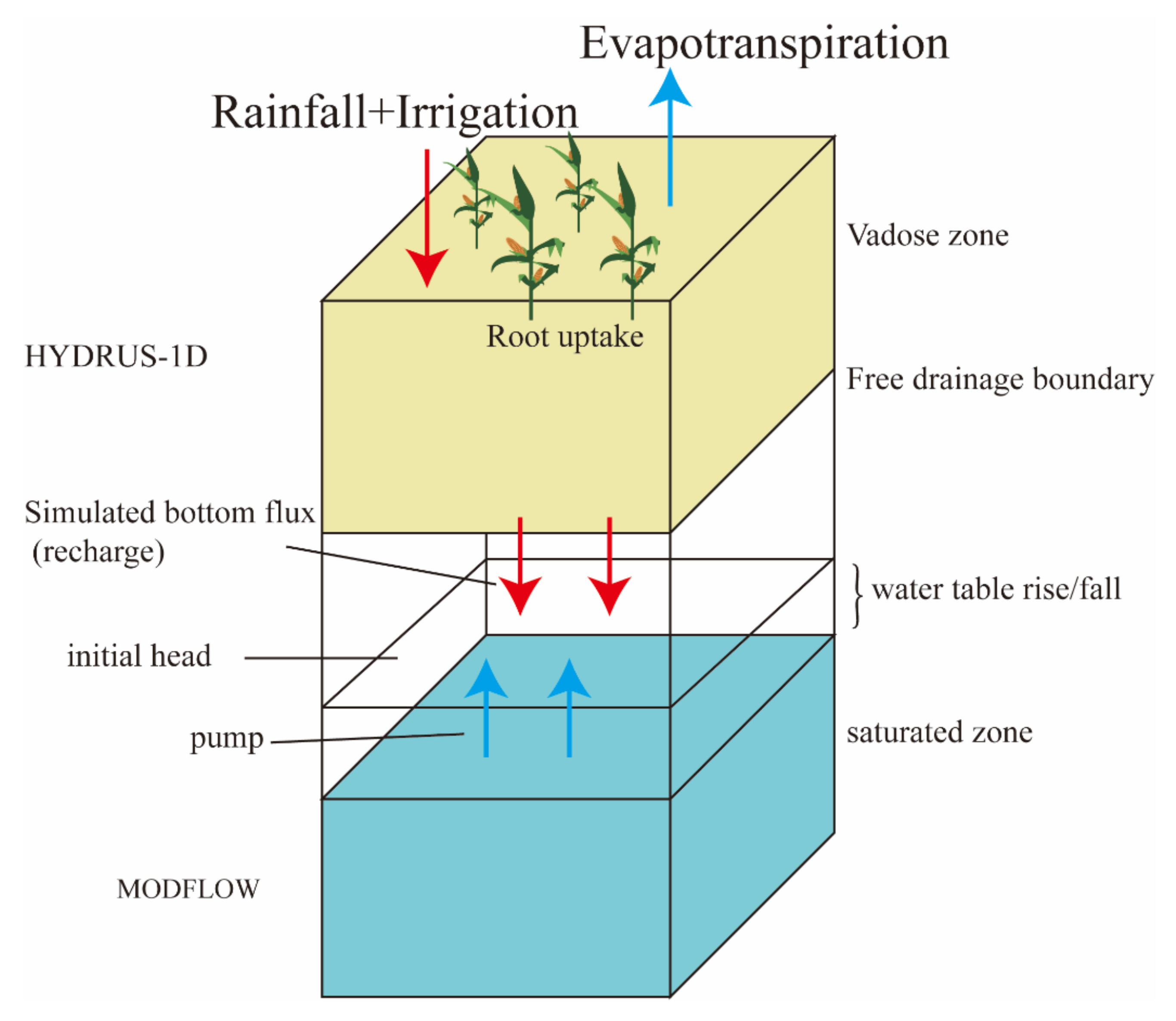 groundwater cycle unsaturated zone