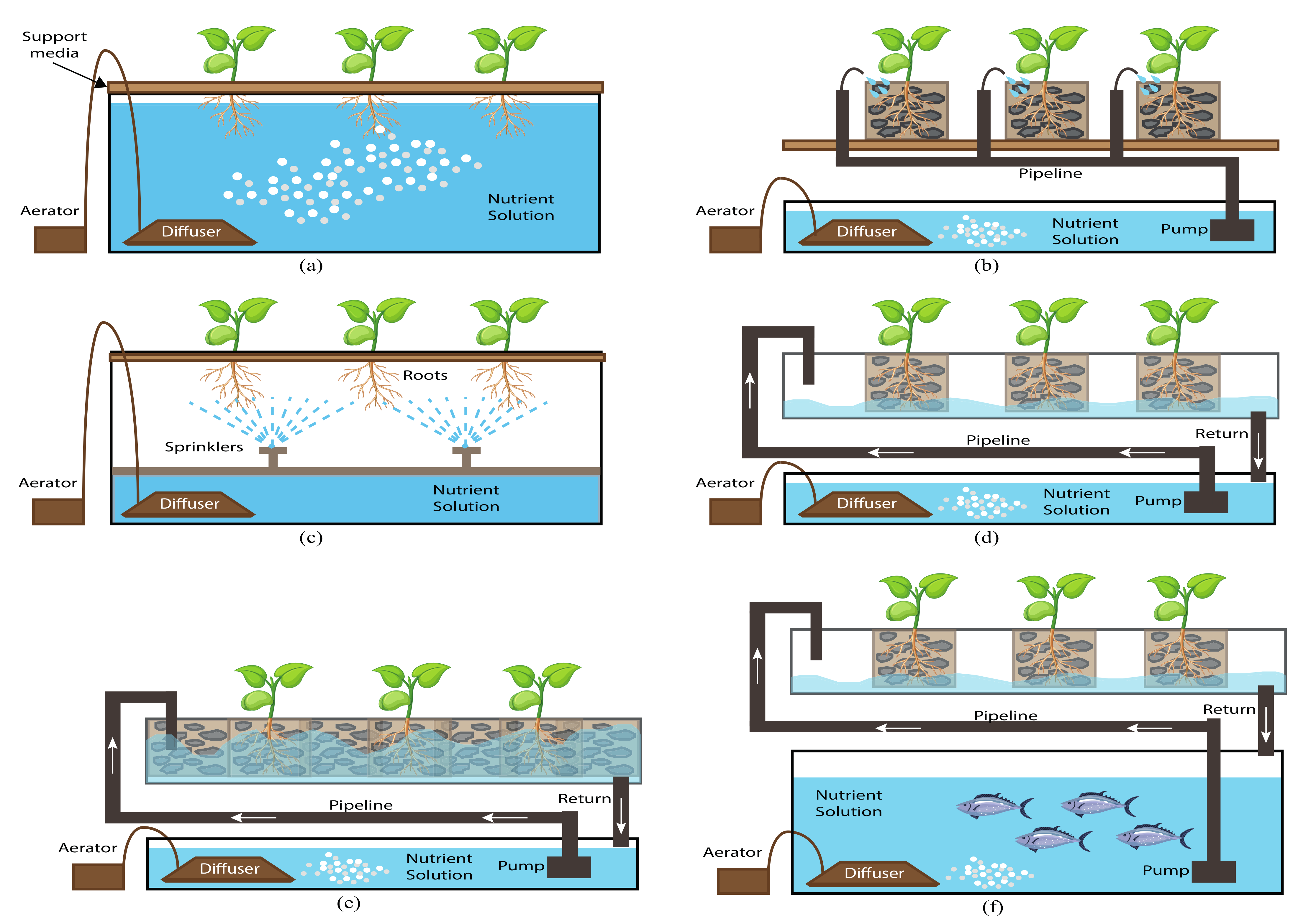 III. Factors Affecting the Efficiency of Closed-Loop Hydroponics Systems
