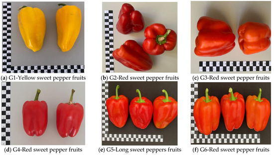 https://pub.mdpi-res.com/agriculture/agriculture-12-01863/article_deploy/html/images/agriculture-12-01863-g001a-550.jpg?1667720345