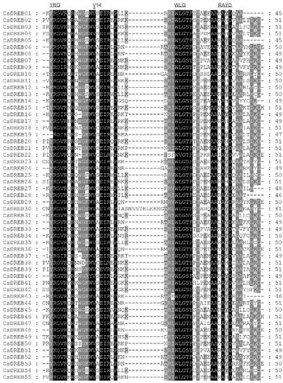 Agriculture | Free Full-Text | Pan-Genome-Wide Identification and 