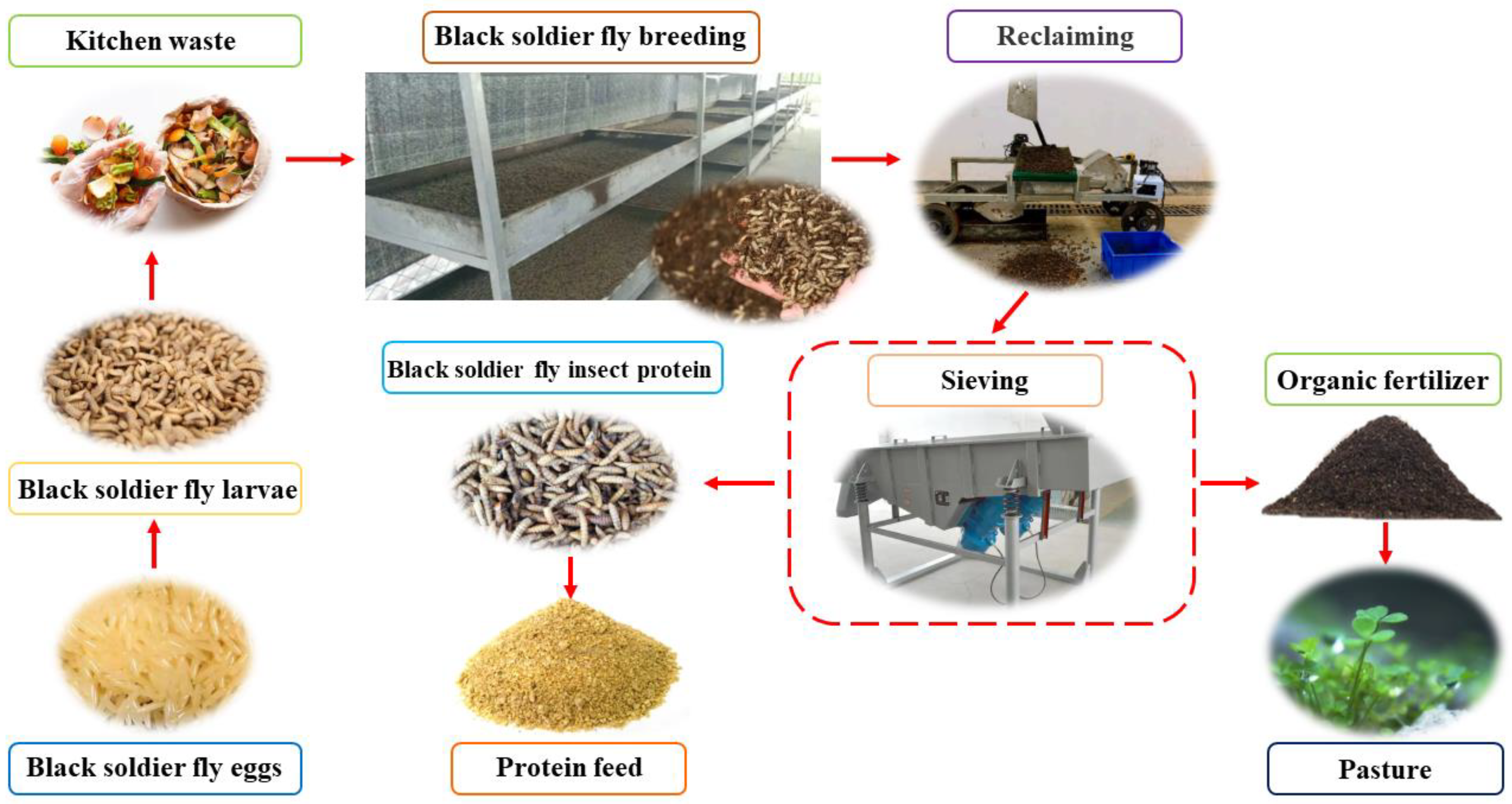 Agriculture | Free Full-Text | Process Analysis and Parameters Optimization  of Black Soldier Fly Sand Mixture with Two-Stage Sieve Surface Vibration  Separating Machine