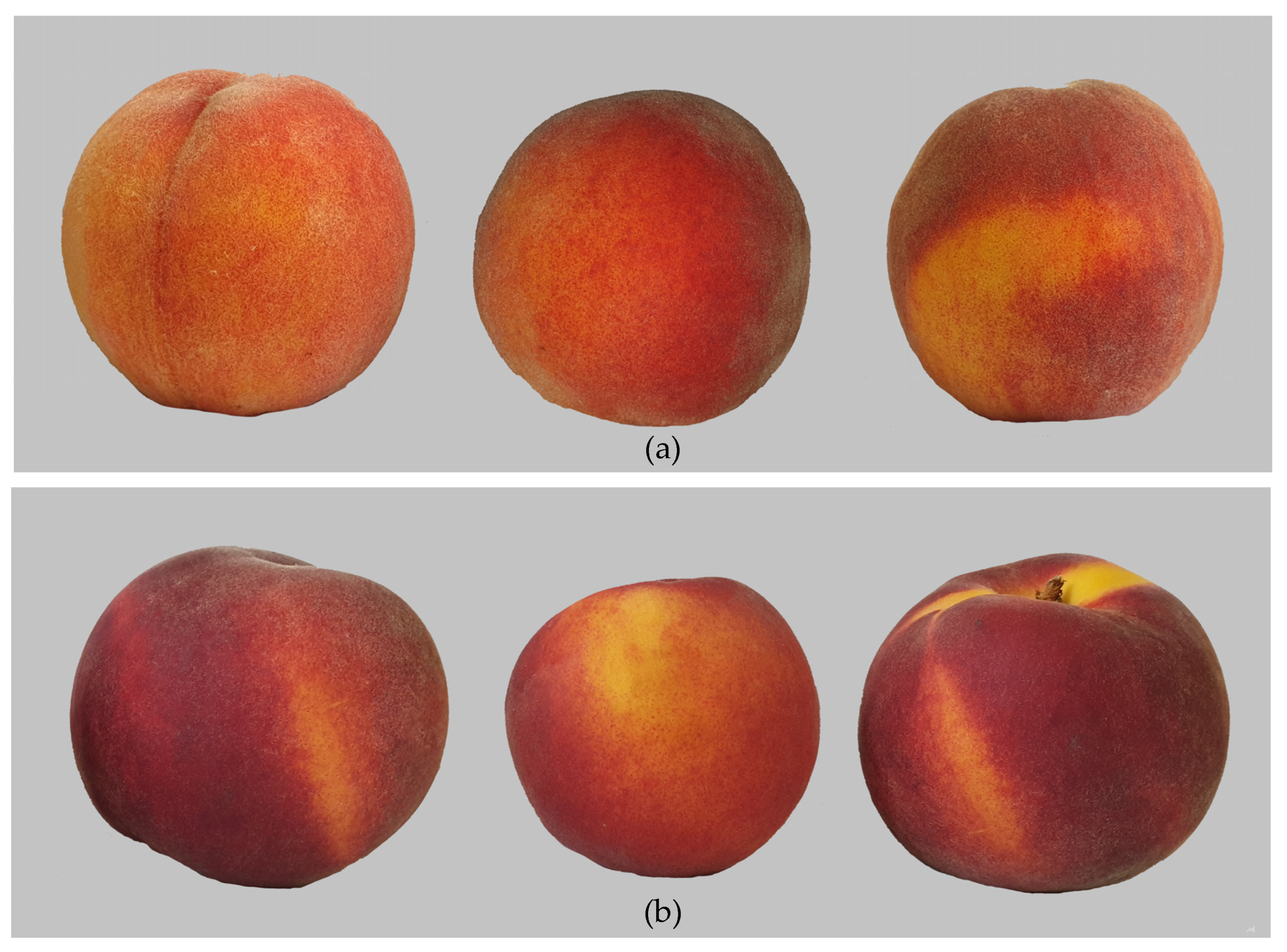 Nectarine Ripening Chart - When Are Nectarines In Season?