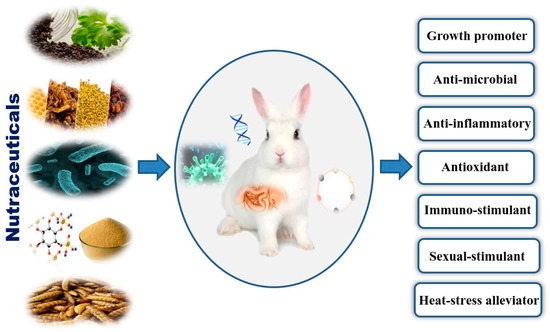 Agriculture | Free Full-Text | Current Applications and Trends in