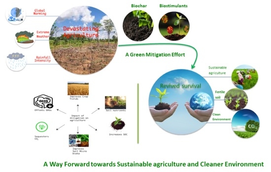 thesis on impact of climate change on agriculture