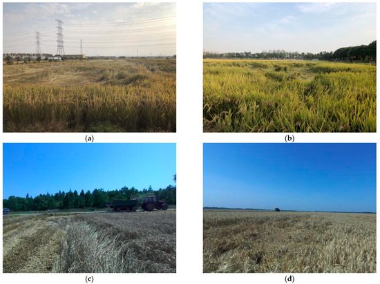 Harvesting Route Detection and Crop Height Estimation Methods for ...