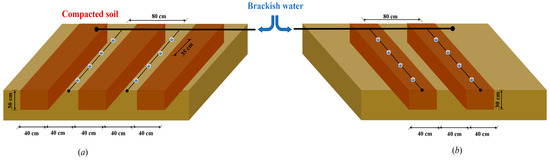 Evaluating Soil Water–Salt Dynamics under Brackish Water Drip ...
