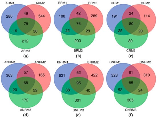 Effects of Plastic Mulch Residue on Soil Fungal Communities