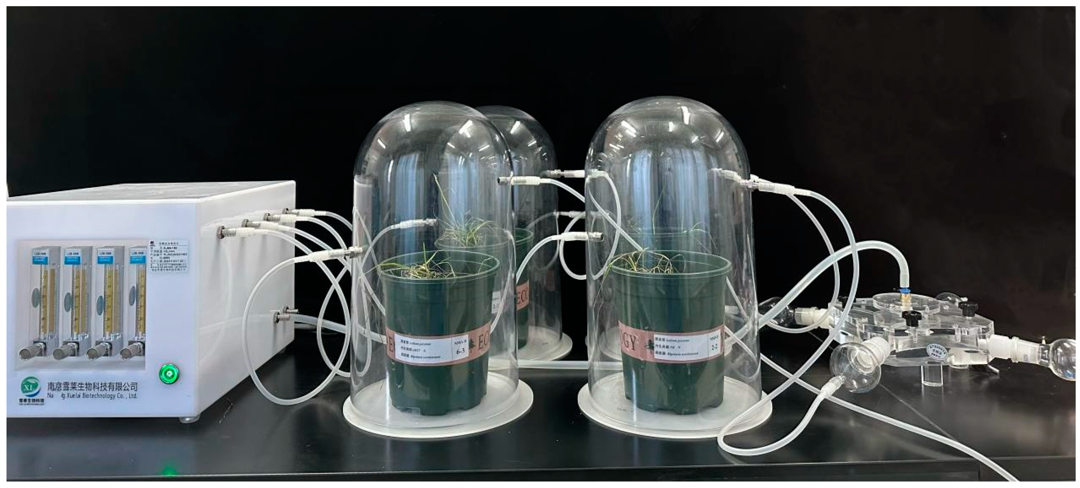 Impact of Grass Endophyte on Leaf Spot in Perennial Ryegrass Caused by ...