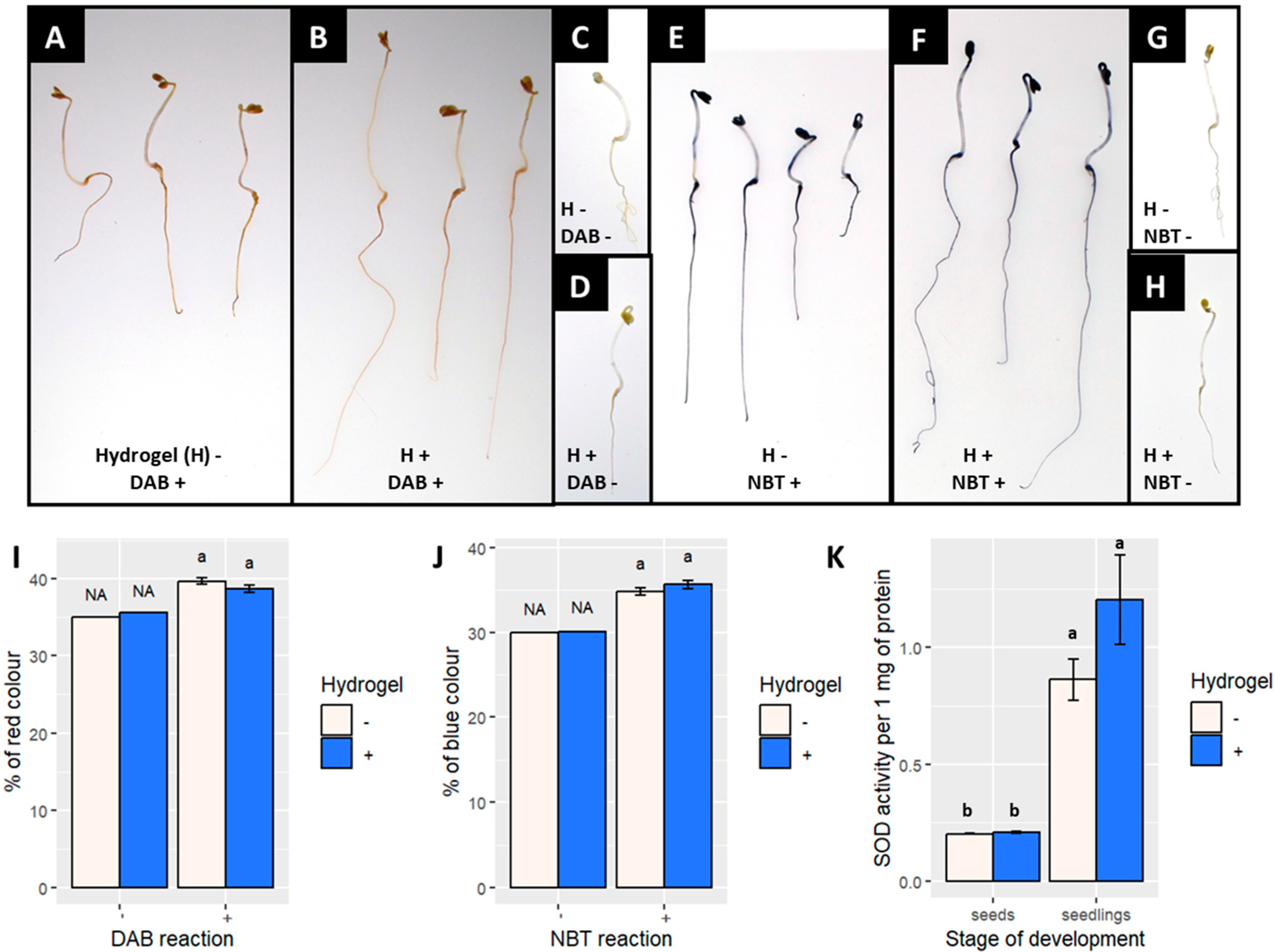 Synthetic Hydrogel Dilutes Serratia plymuthica Growth— Promoting Effect ...