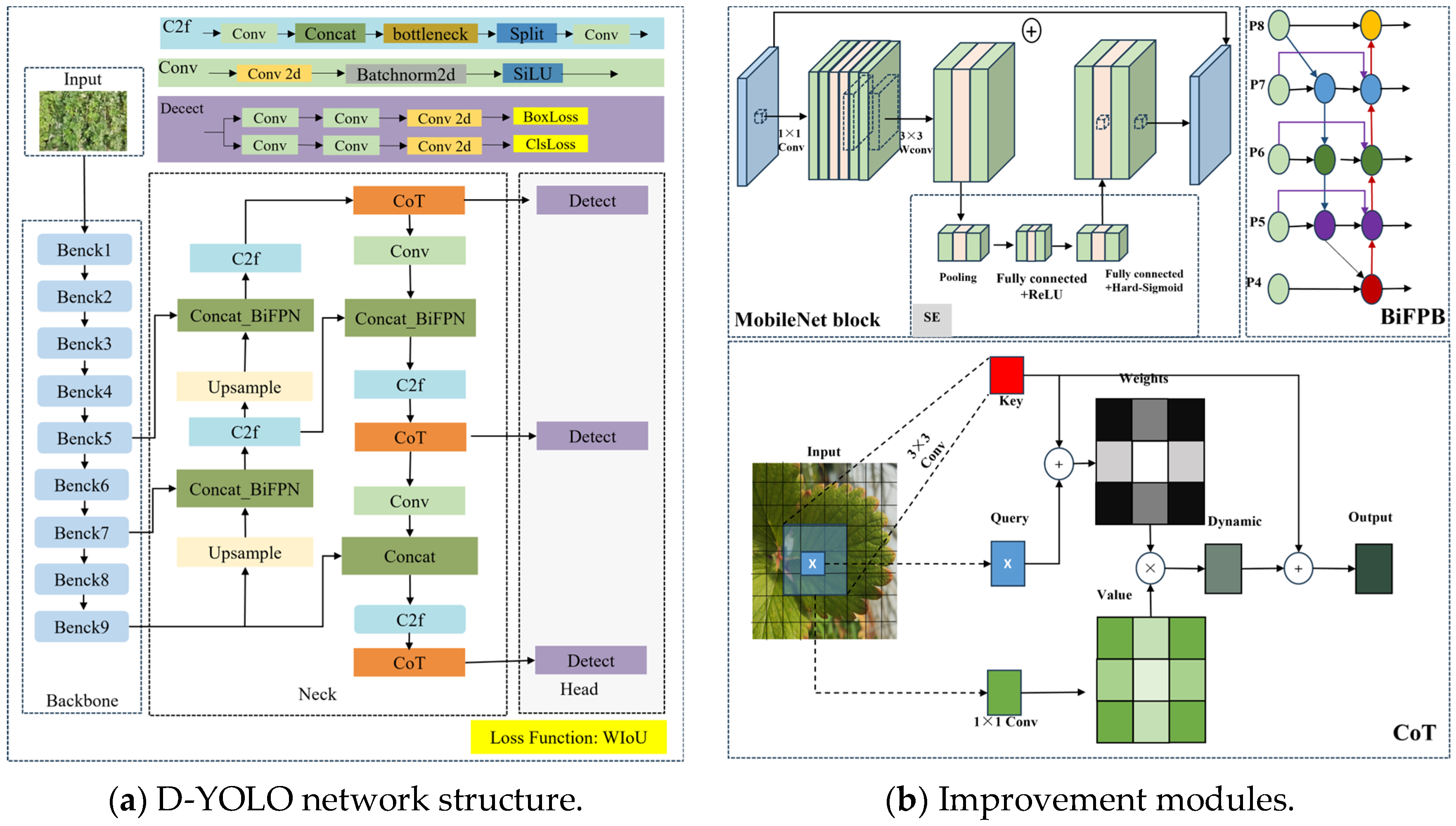 D-YOLO: A Lightweight Model for Strawberry Health Detection