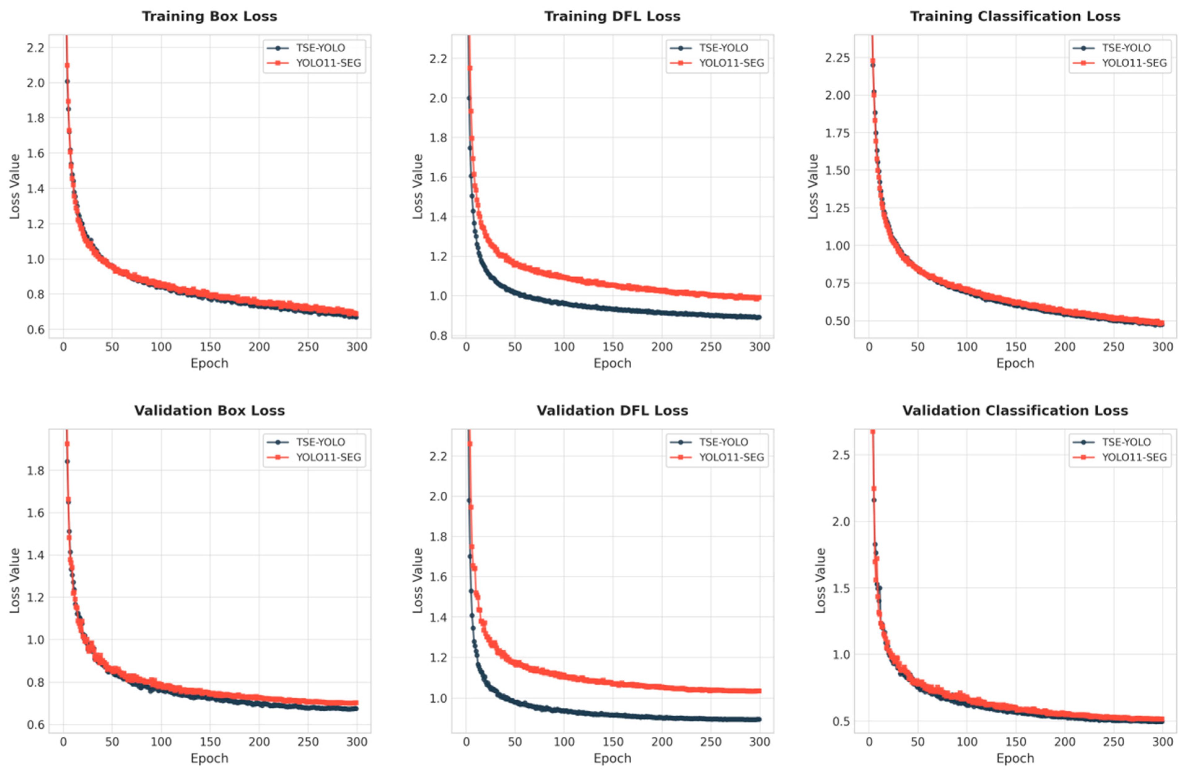 TSE-YOLO: A Model for Tomato Ripeness Segmentation
