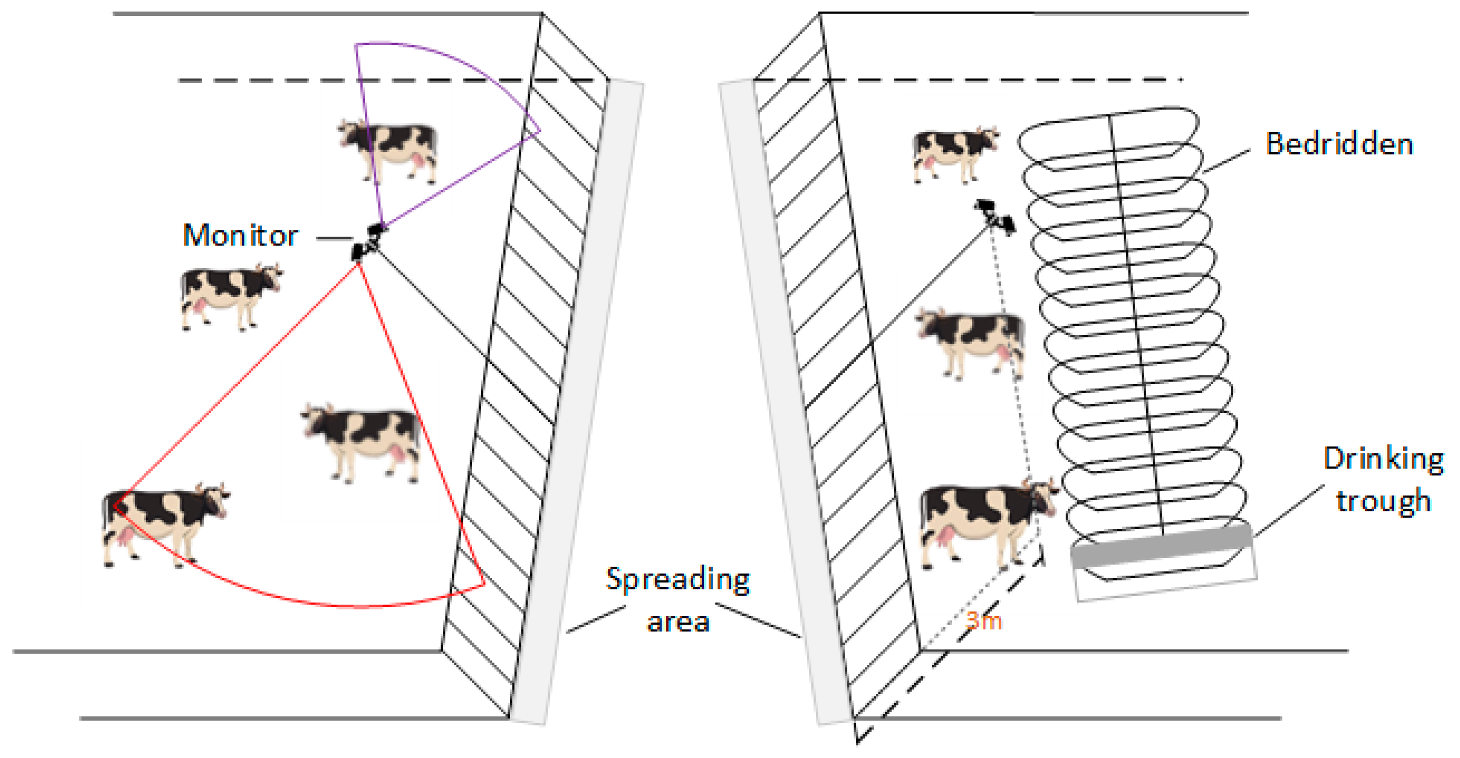 MTW-BYTE: Research on Embedded Algorithms for Cow Behavior Recognition ...