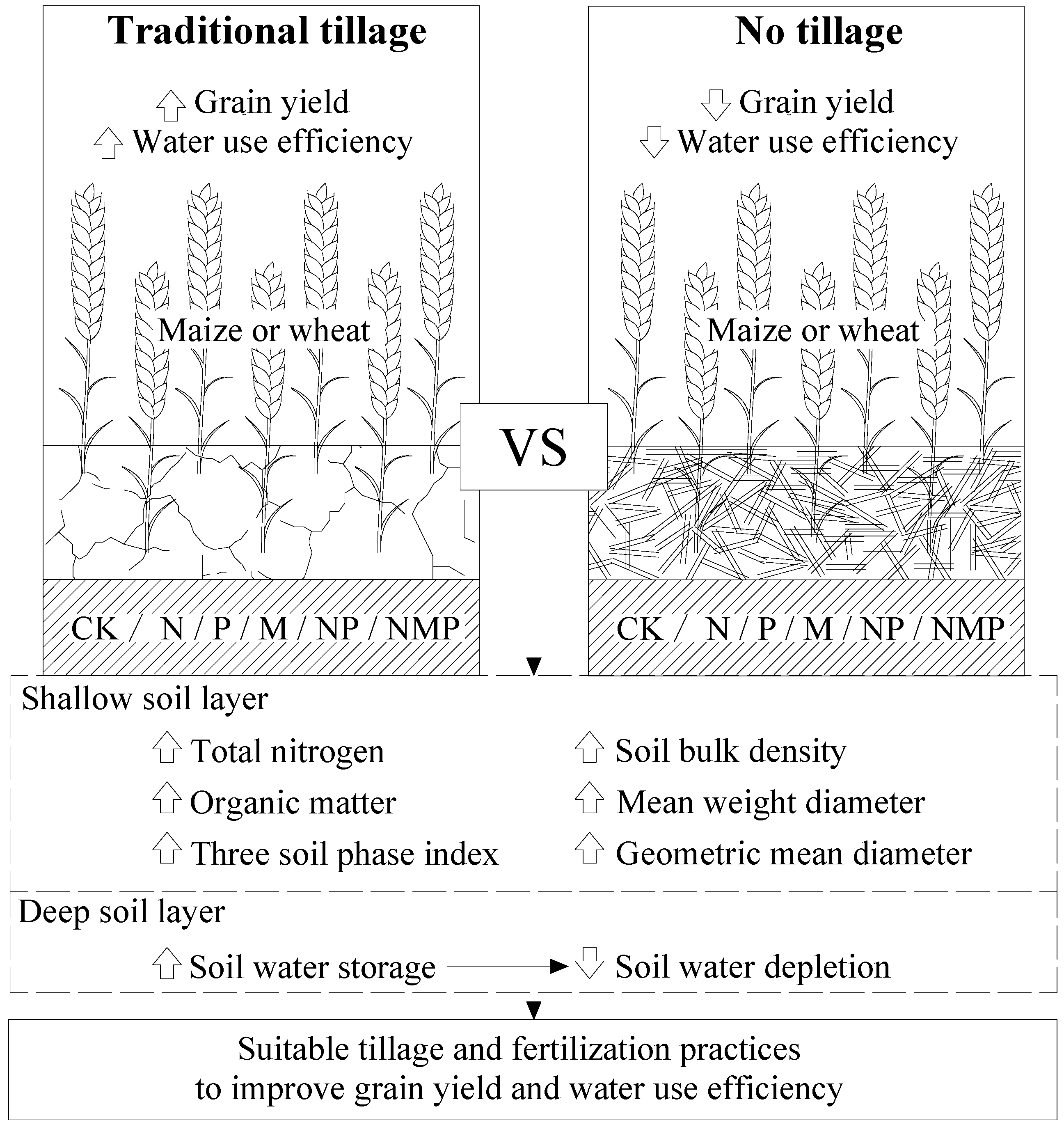 Effect of Tillage and Fertilization Practices on Soil Physical ...