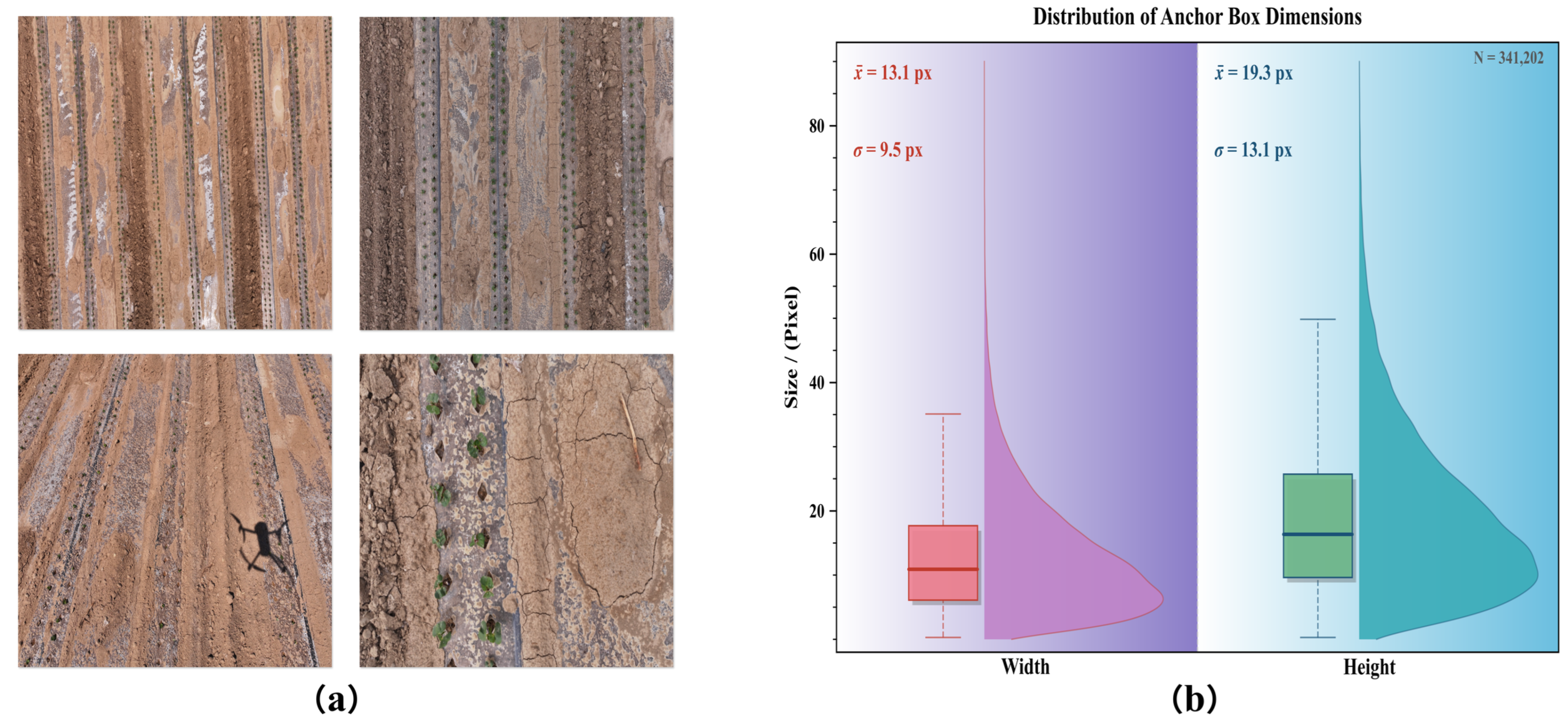 DDF-DETR: A Multi-Scale Spatial Context Method for Field Cotton ...