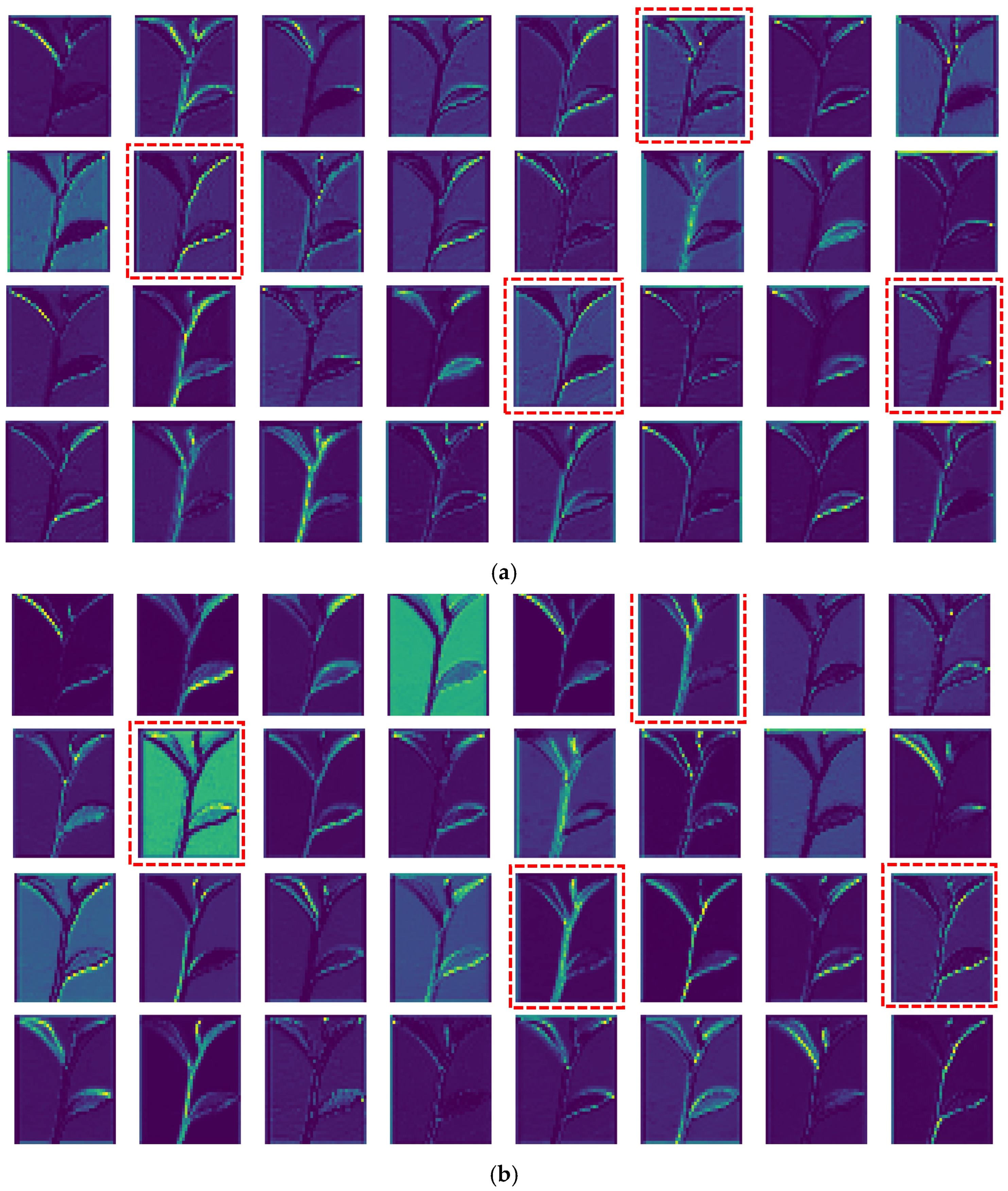 Rapid Extraction of Tea Bud Phenotypic Parameters ‘In Situ’ Combining ...