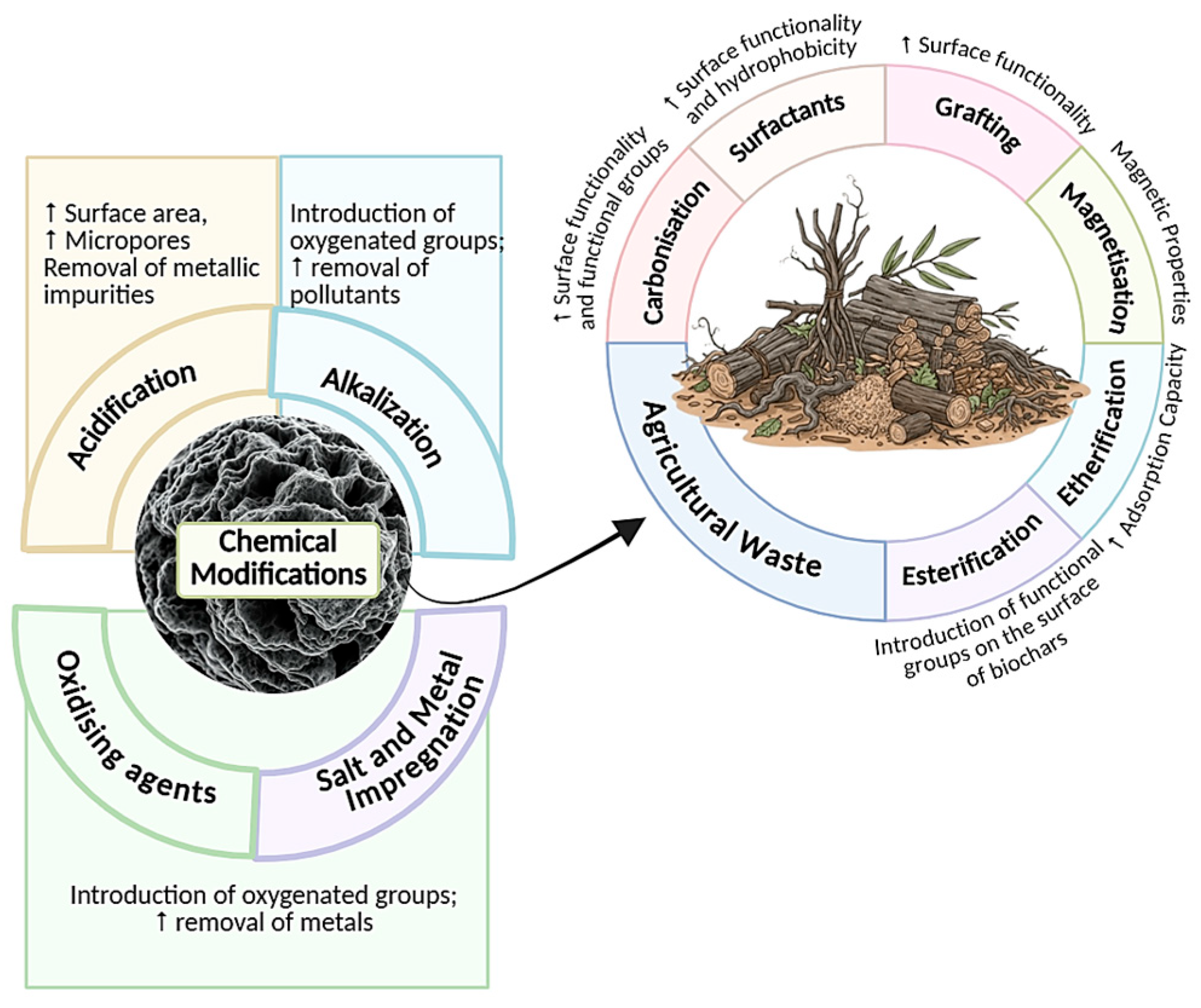 From Biomass to Functional Biochar: Modification Approaches to Targeted ...