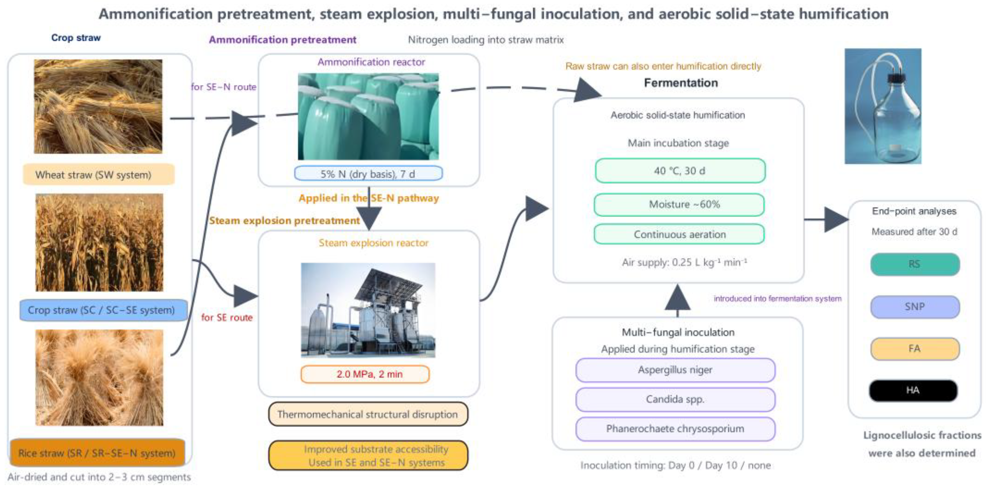The Humification Process Humification Pathways of Crop Residues Under Ammonification–Steam ...