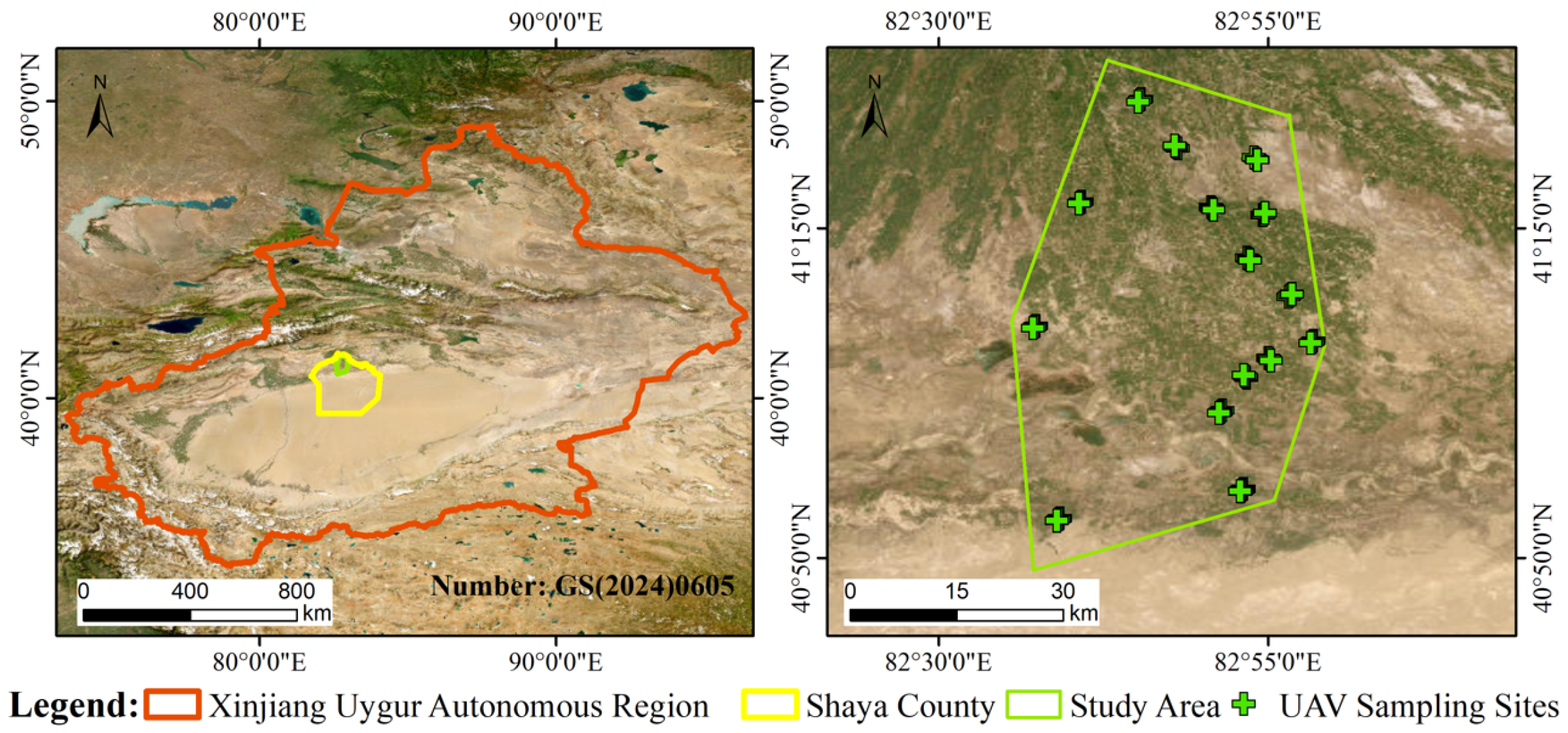 A Multi-Spatial Scale Integration Framework of UAV Image Features and ...