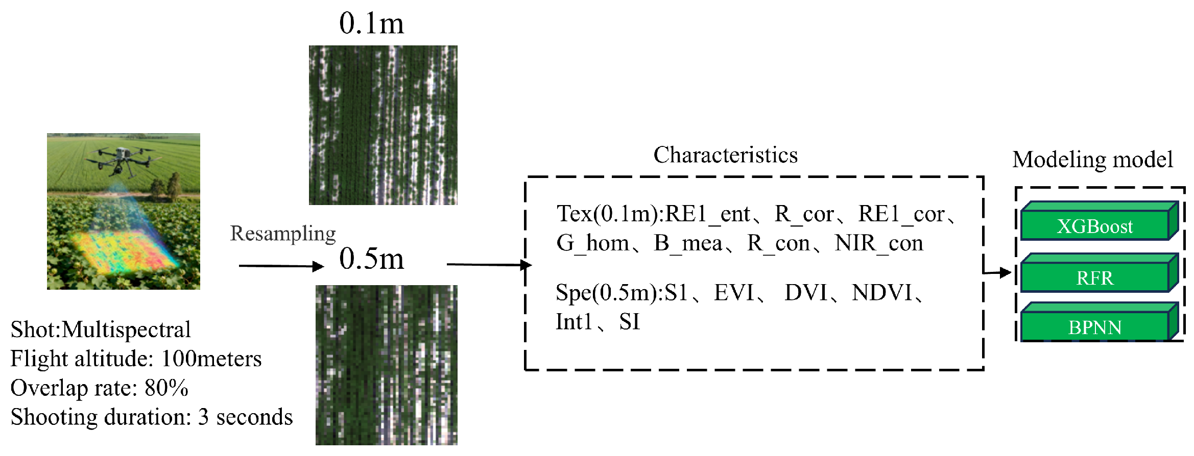 A Multi-Spatial Scale Integration Framework of UAV Image Features and ...