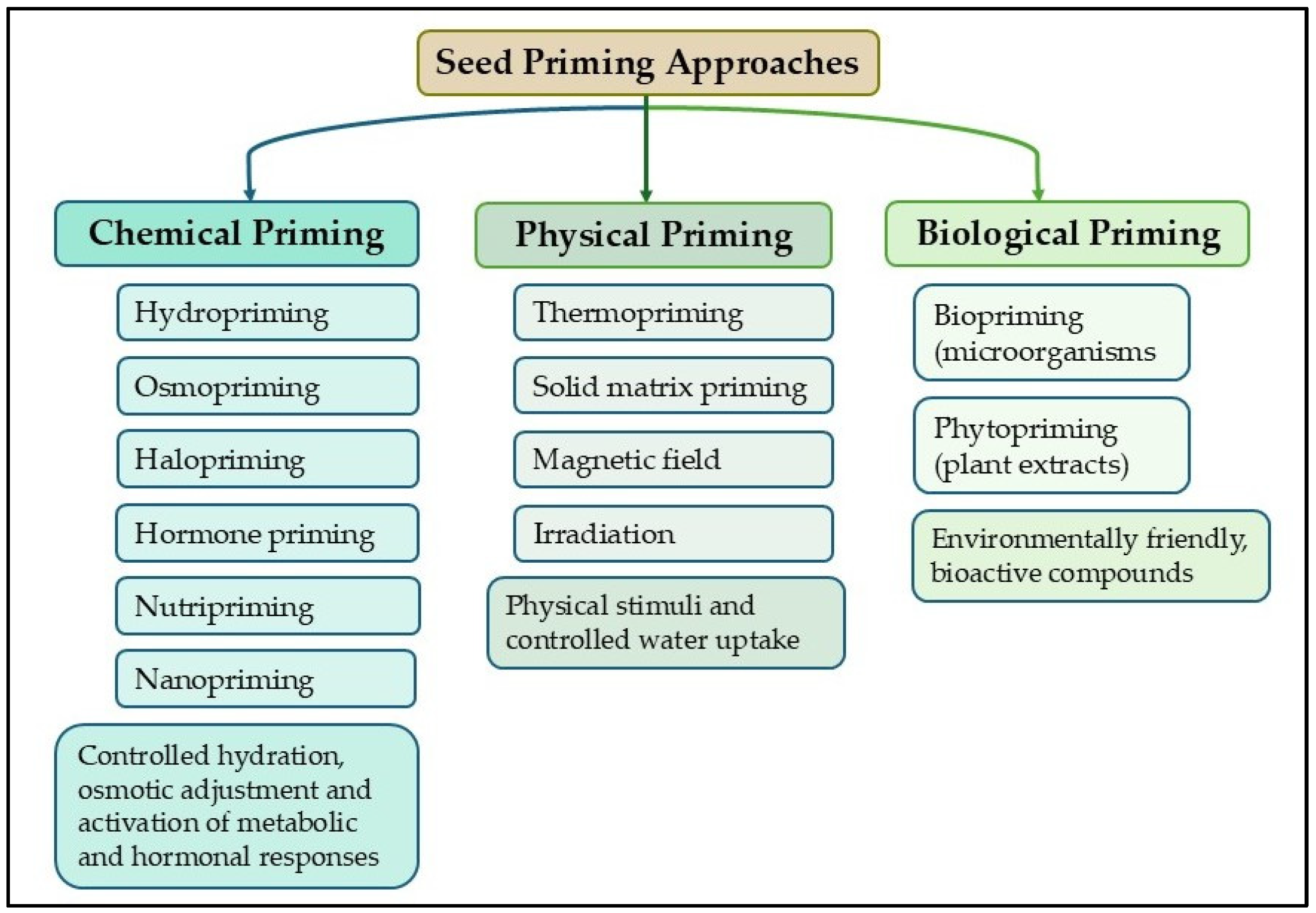 Priming Pattern From Waste to Growth: Utilizing Fruit and Vegetable By-Products in Seed ...