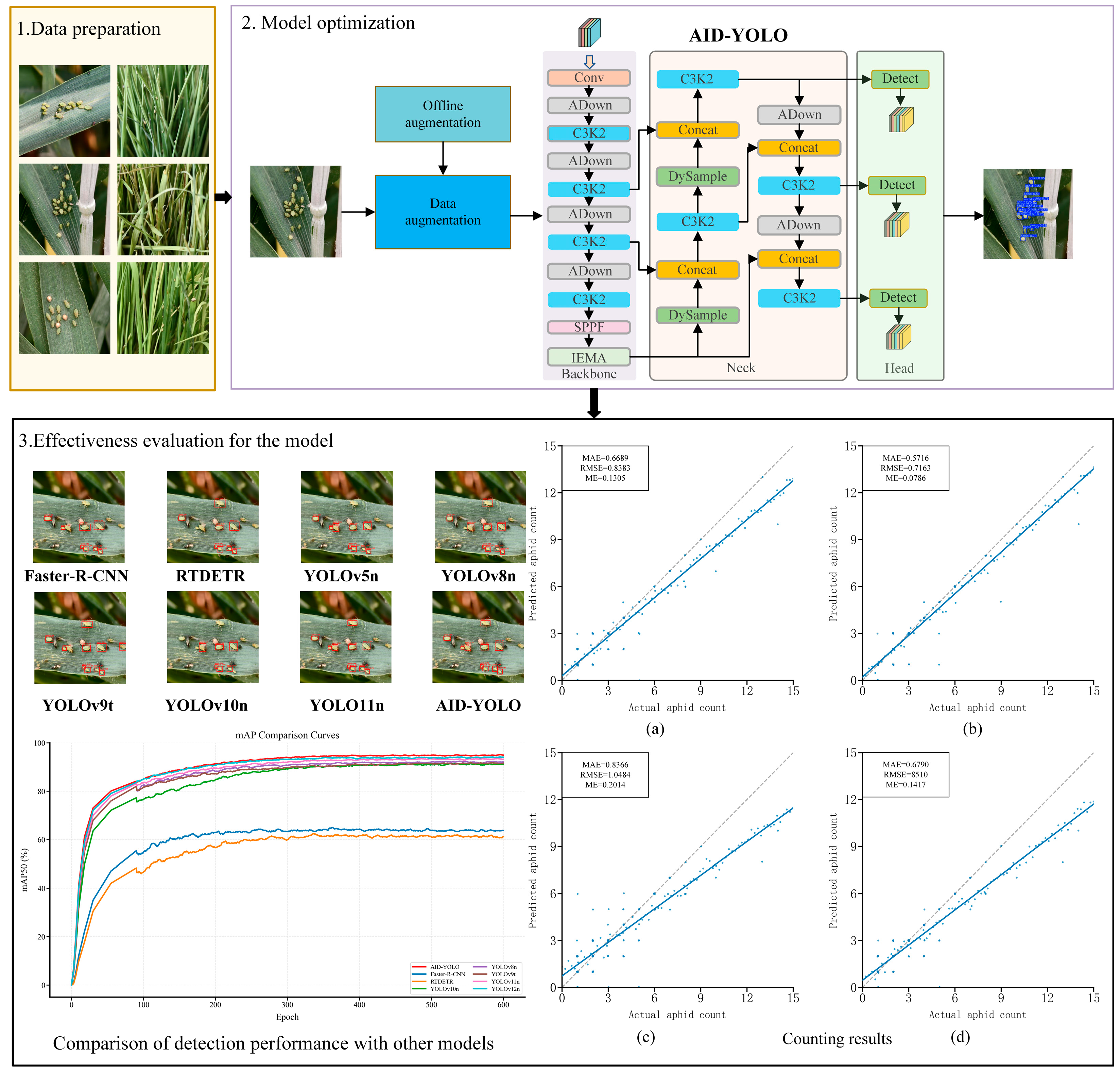 AID-YOLO: A Lightweight Wheat Aphid Detection Model Across Indoor and ...
