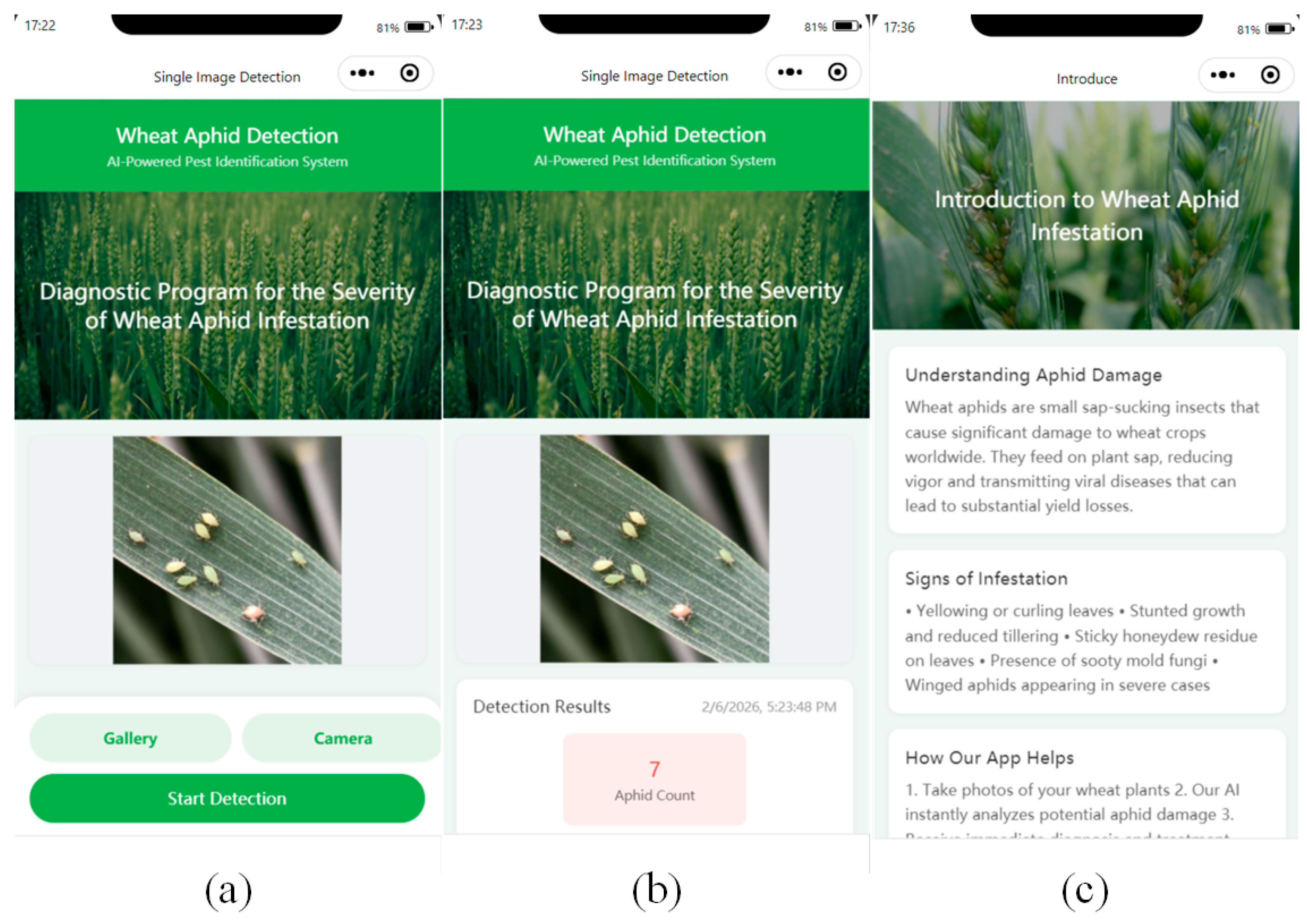 AID-YOLO: A Lightweight Wheat Aphid Detection Model Across Indoor and ...