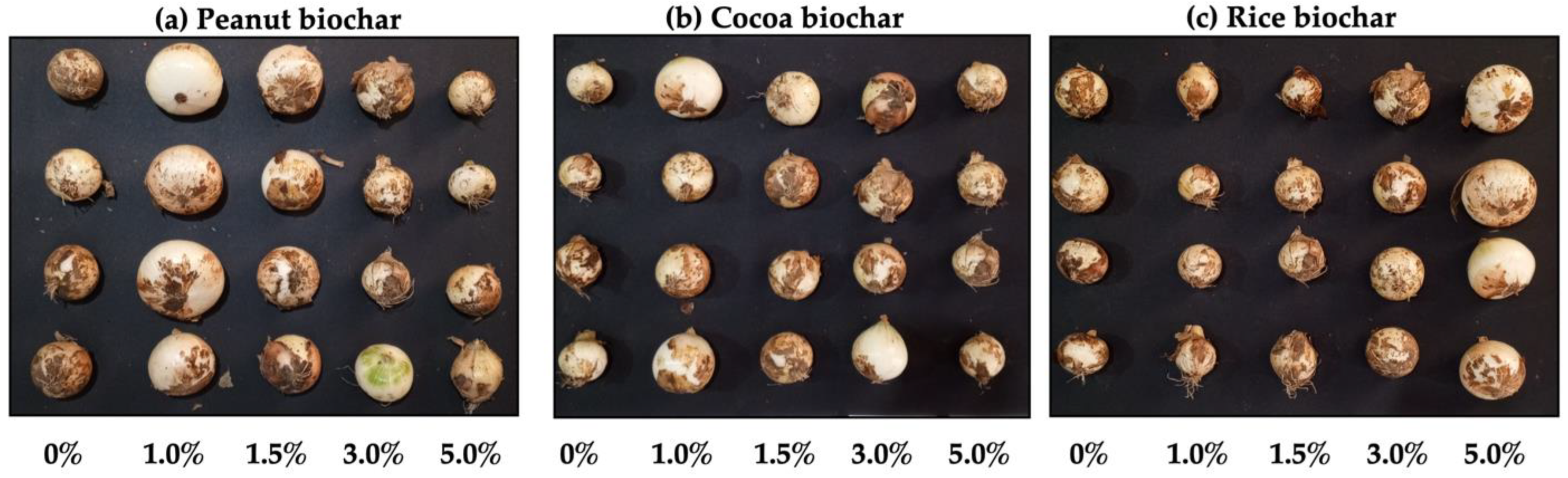 AgriEngineering | Free Full-Text | Effects of Biochar Type on the ...