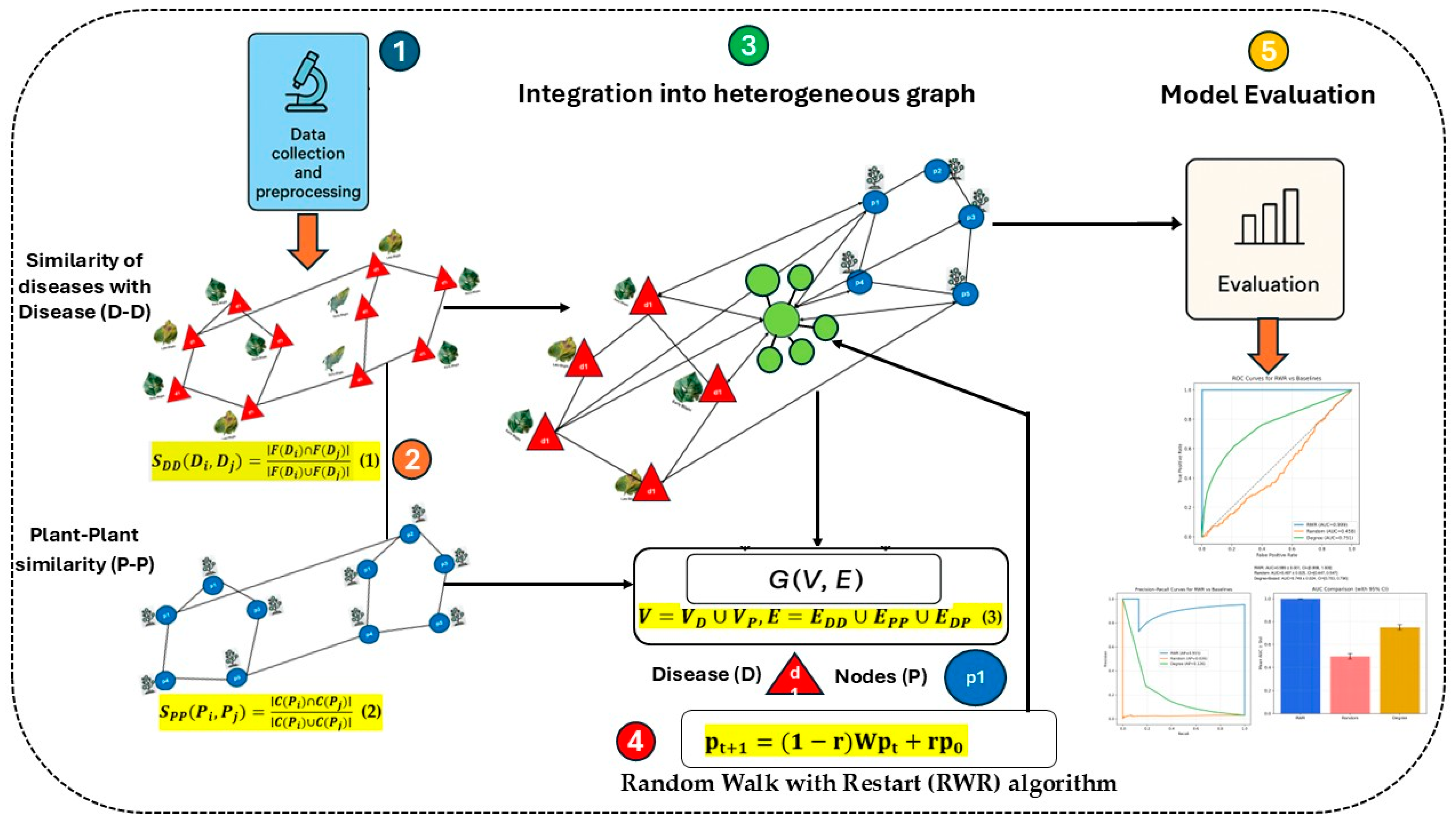 Heterogeneous Network Framework for Predicting Novel Disease–Plant ...