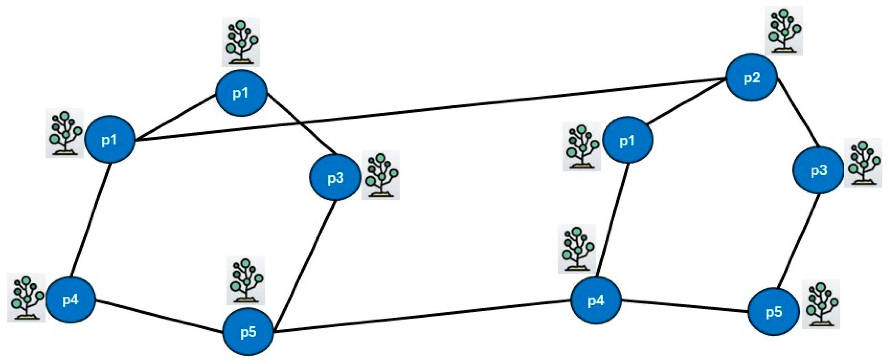 Heterogeneous Network Framework for Predicting Novel Disease–Plant ...