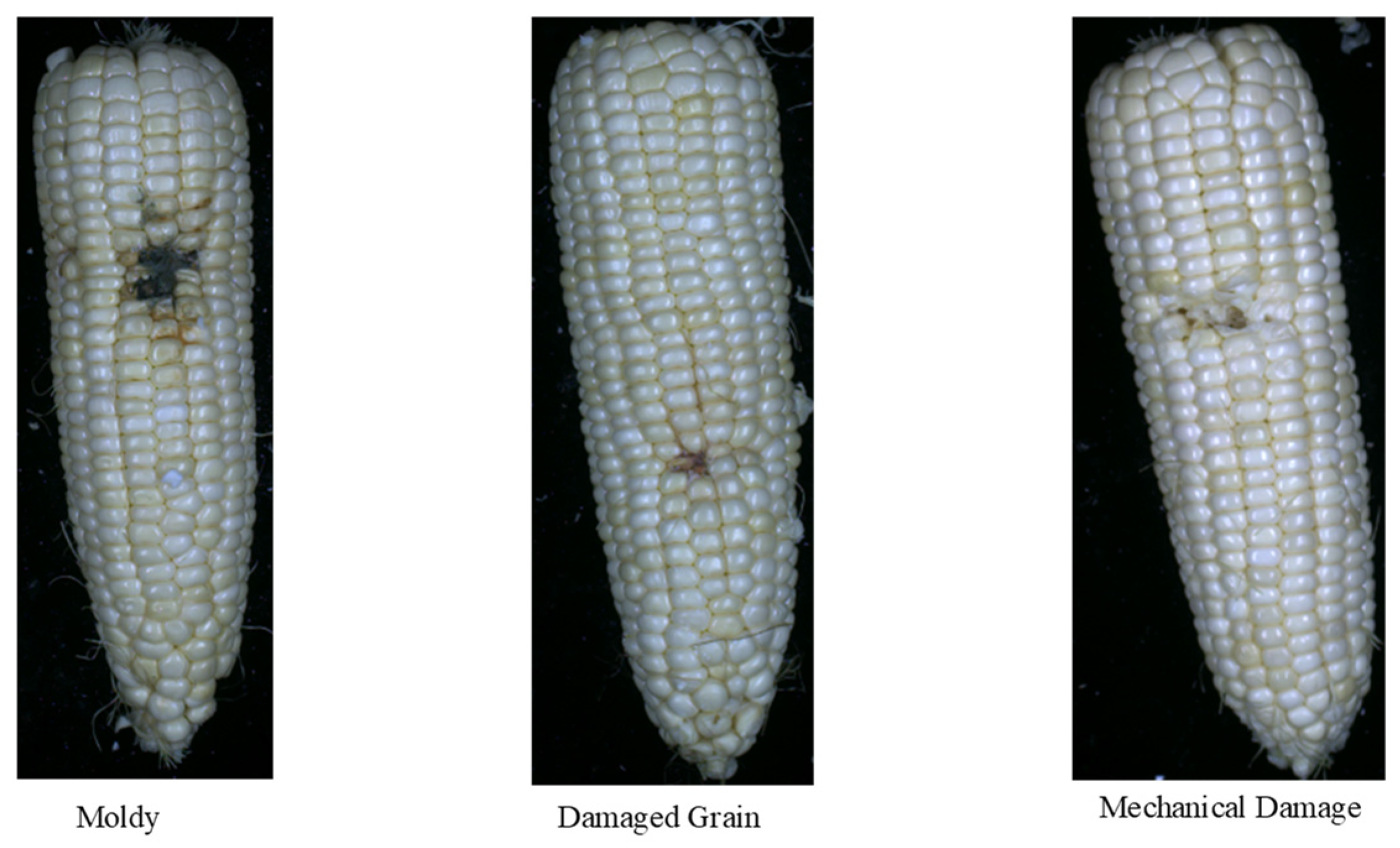 SSAD-YOLOv8s-Prune: A Compression Model for Small-Scale Defect ...
