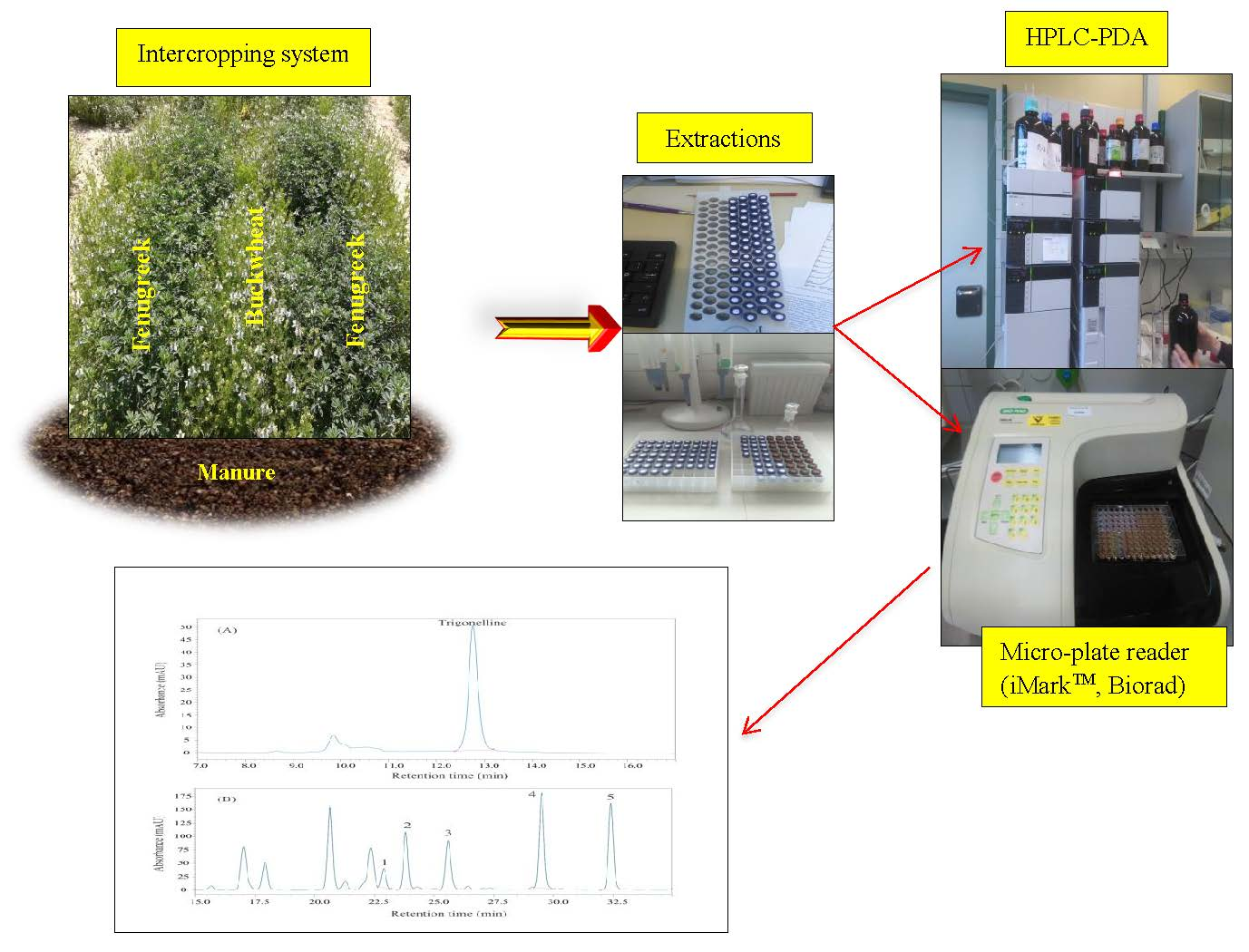 Agronomy | Free Full-Text | Effect Of Organic Fertilizers On ...