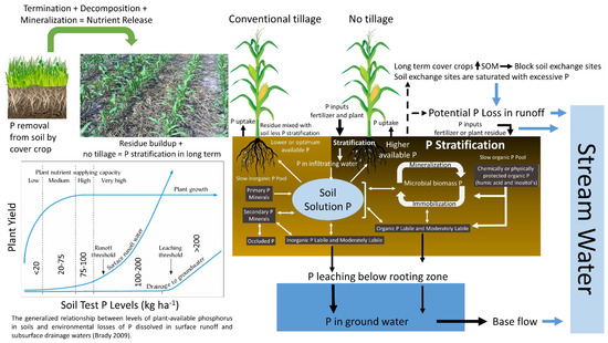 Agronomy | Free Full-Text | Managing Phosphorus Loss from ...