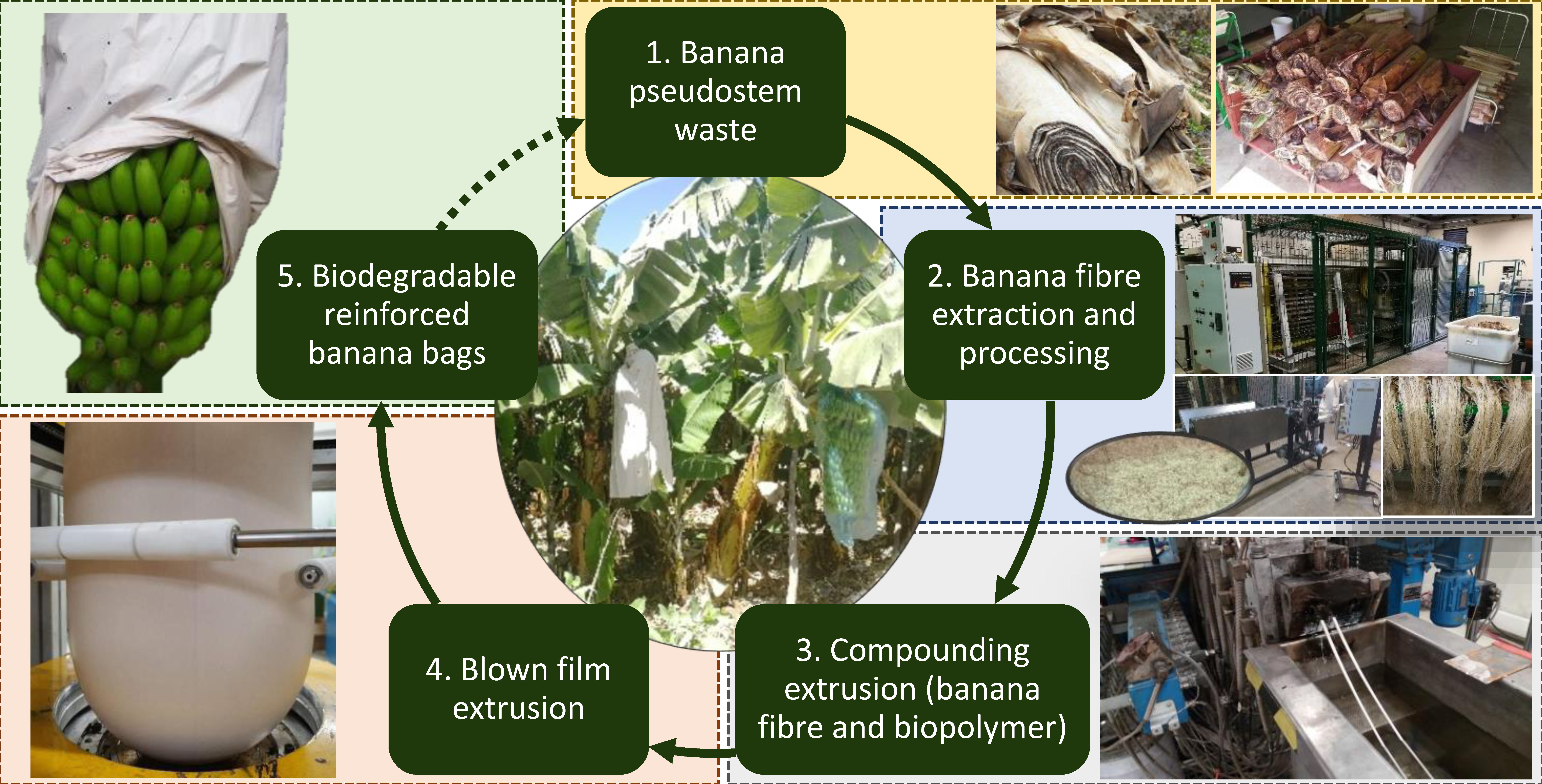 biodegradable and nonbiodegradable waste pdf