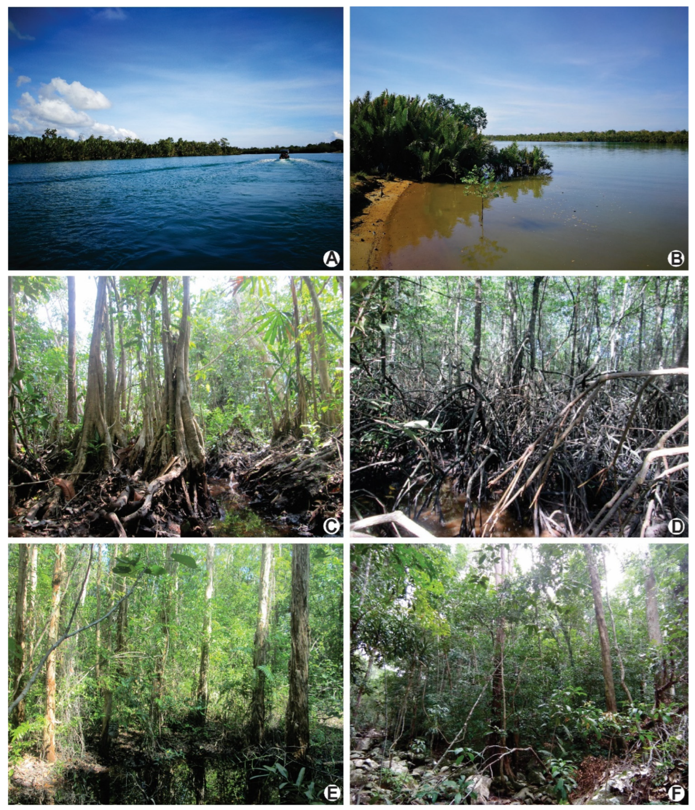 Agronomy | Free Full-Text | Species Composition, Diversity, and Biomass  Estimation in Coastal and Marine Protected Areas of Terengganu, Peninsular  Malaysia
