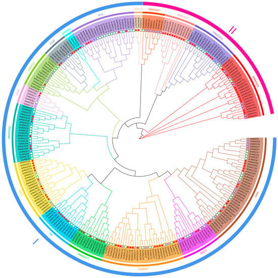 Pdf Comprehensive Genomic Characterization Of Nac Transcription