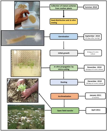 Agronomy, Free Full-Text