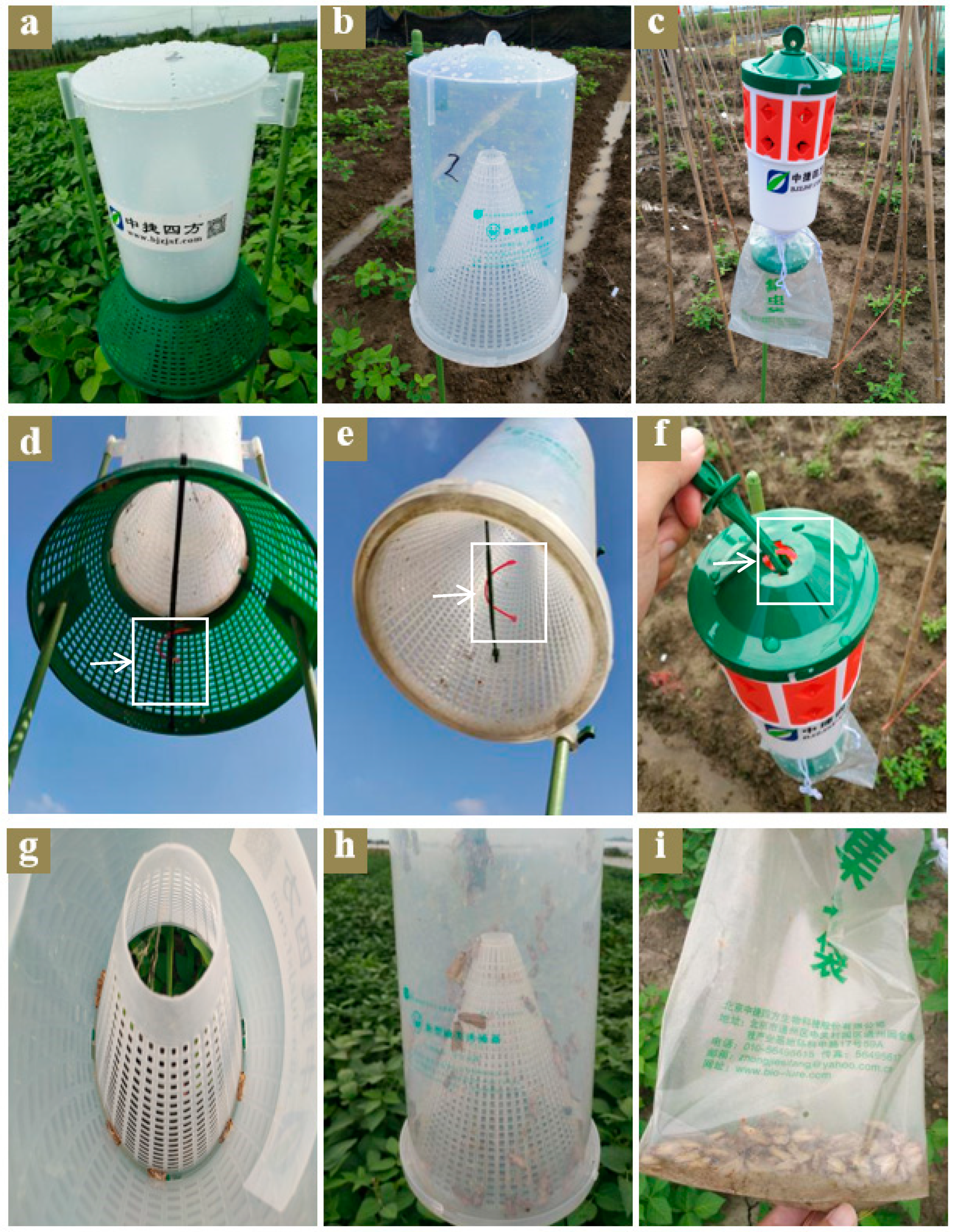 Figure showing types of insect traps: A. Pheremone trap, B:Light