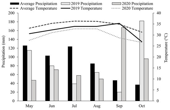 Agronomy | Free Full-Text | Forage Mass and Nutritive Value of Grain ...