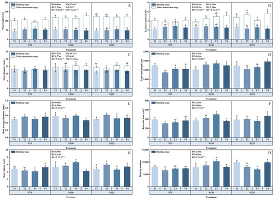 Agronomy | Free Full-Text | Effect of N Fertilizer Dosage and Base ...