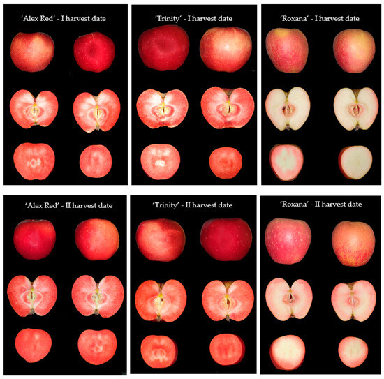 Red Apple Variabilities Physicochemical Properties, Image Textures, and Relationships between ...