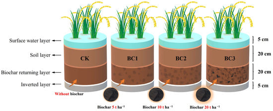 Agronomy | Free Full-Text | The Application of Biochar Enhances Soil ...